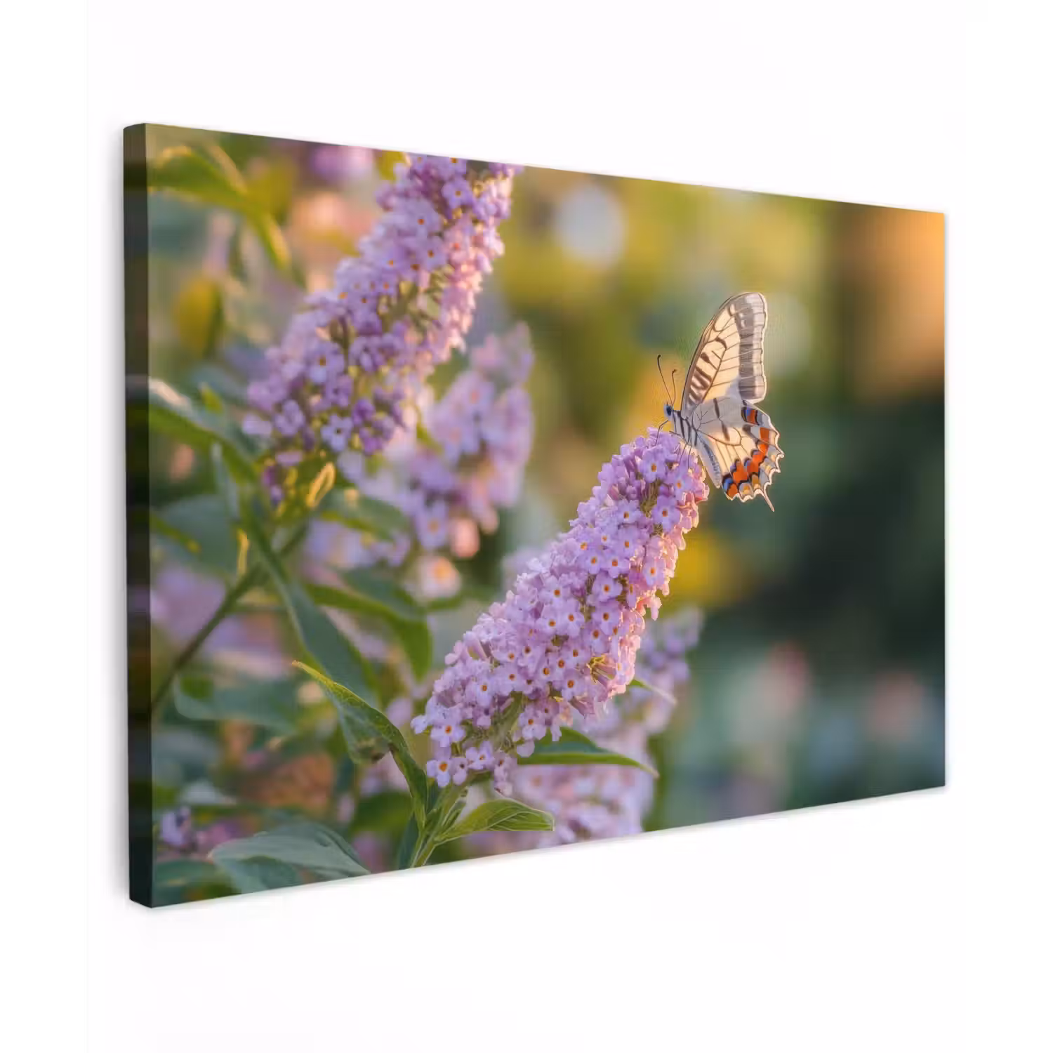 Sierlijke - Vlinder - Paarse - Bloemen canvas 2cm klein -z3d