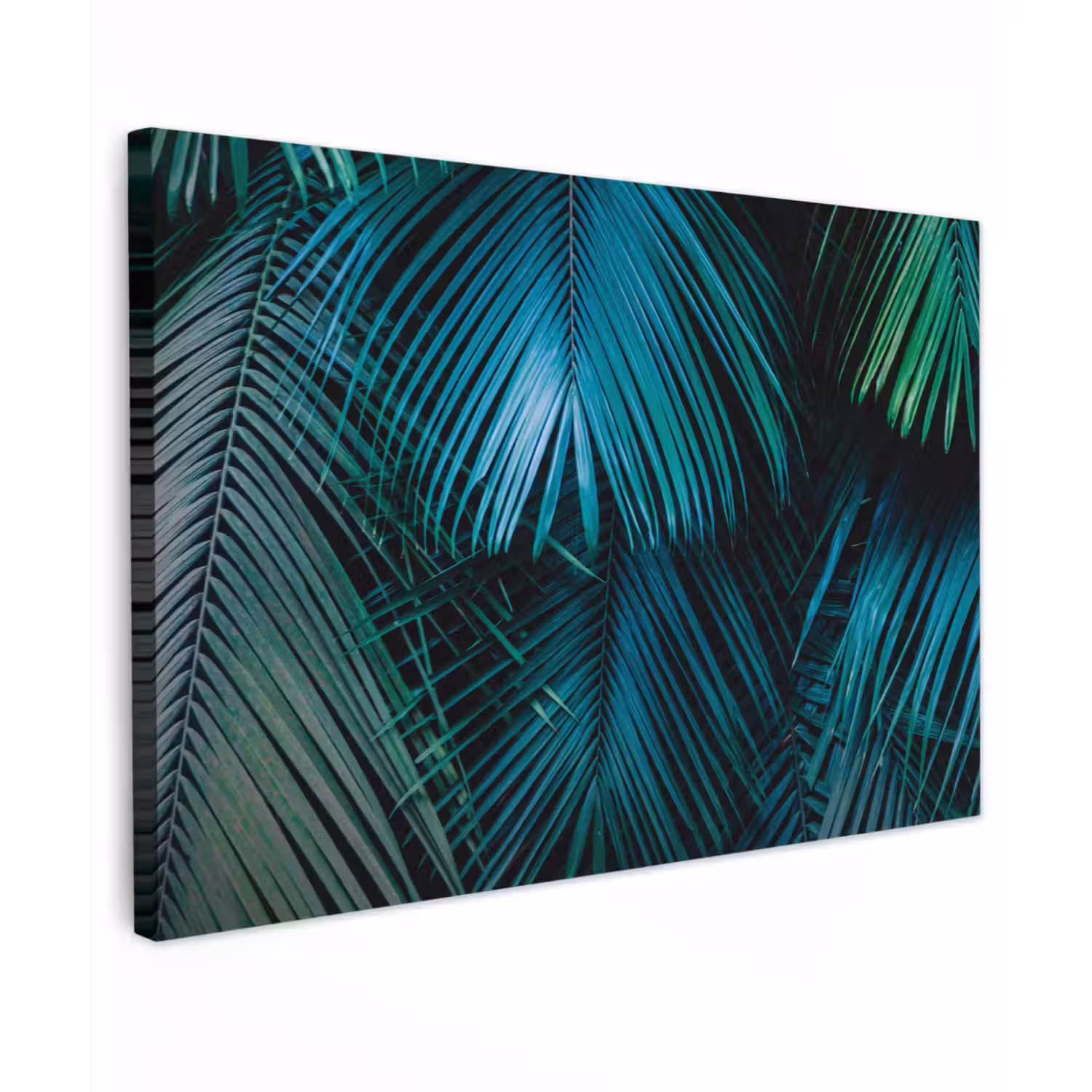 Palmblad - Tropisch - Natuur - Jungle canvas 2cm klein -z3d