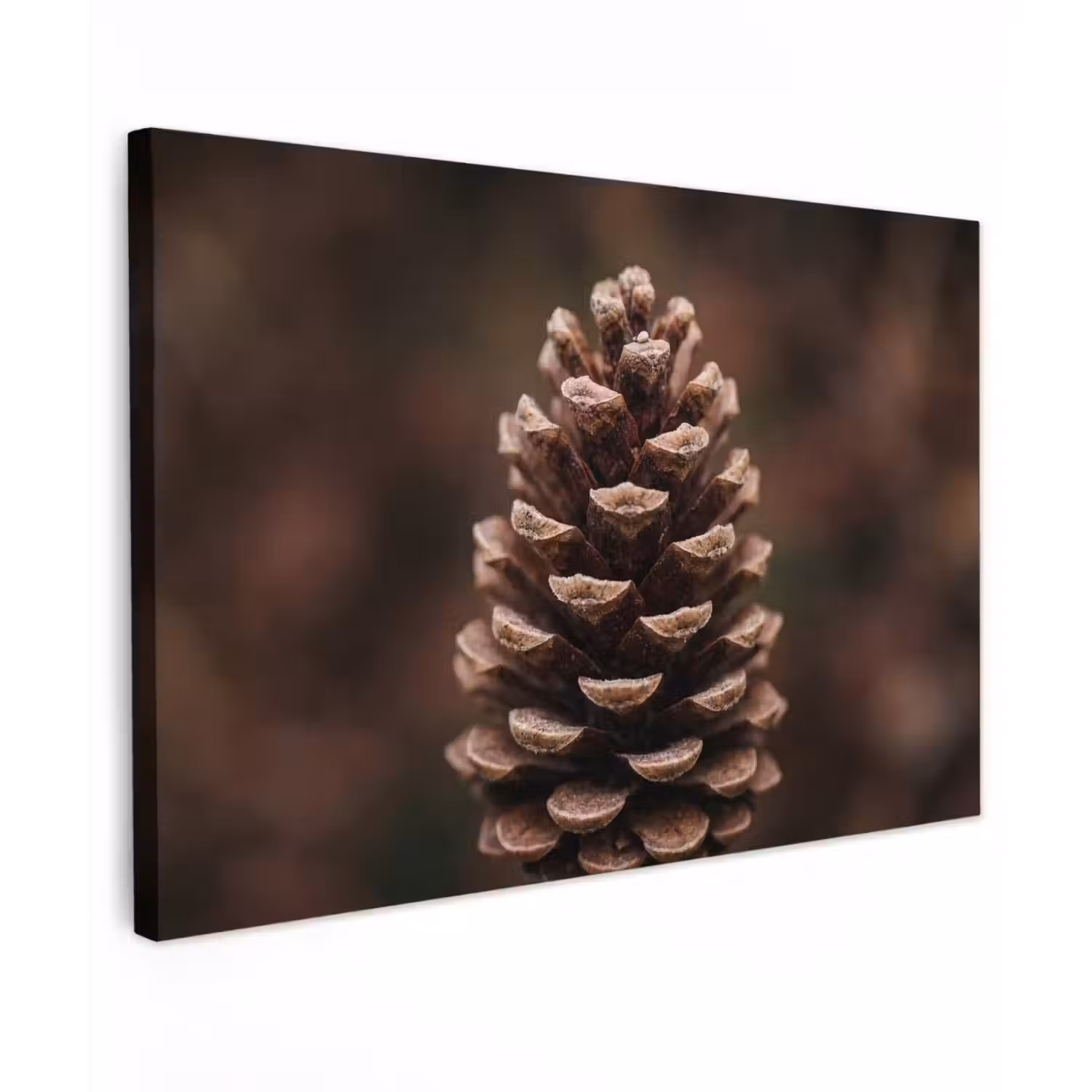 Dennenappel - Bos - Herfst - Bruin - Sfeervol canvas 2cm klein -z3d