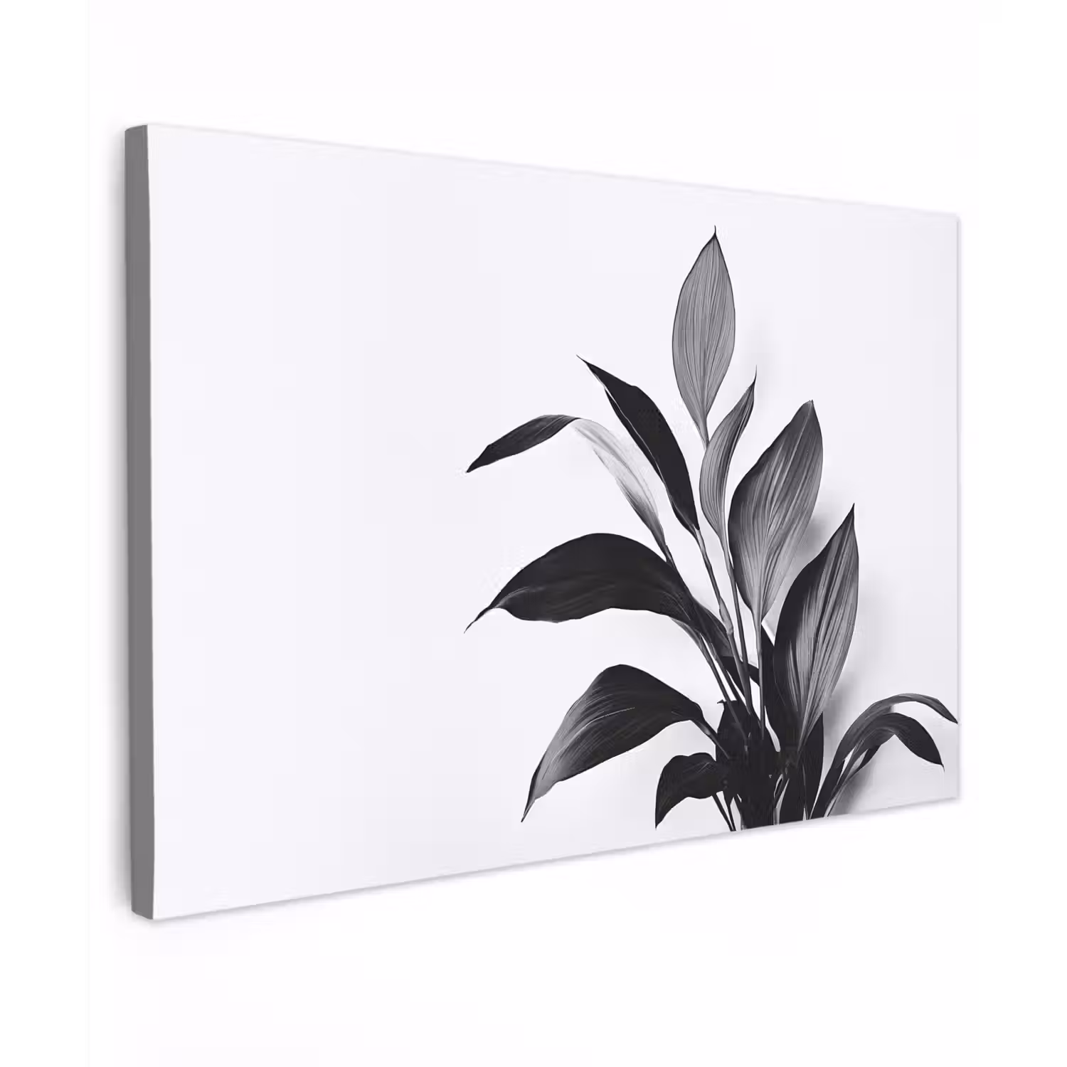 Plant - Bladeren - Minimalistisch - Zwart canvas 2cm klein -z3d