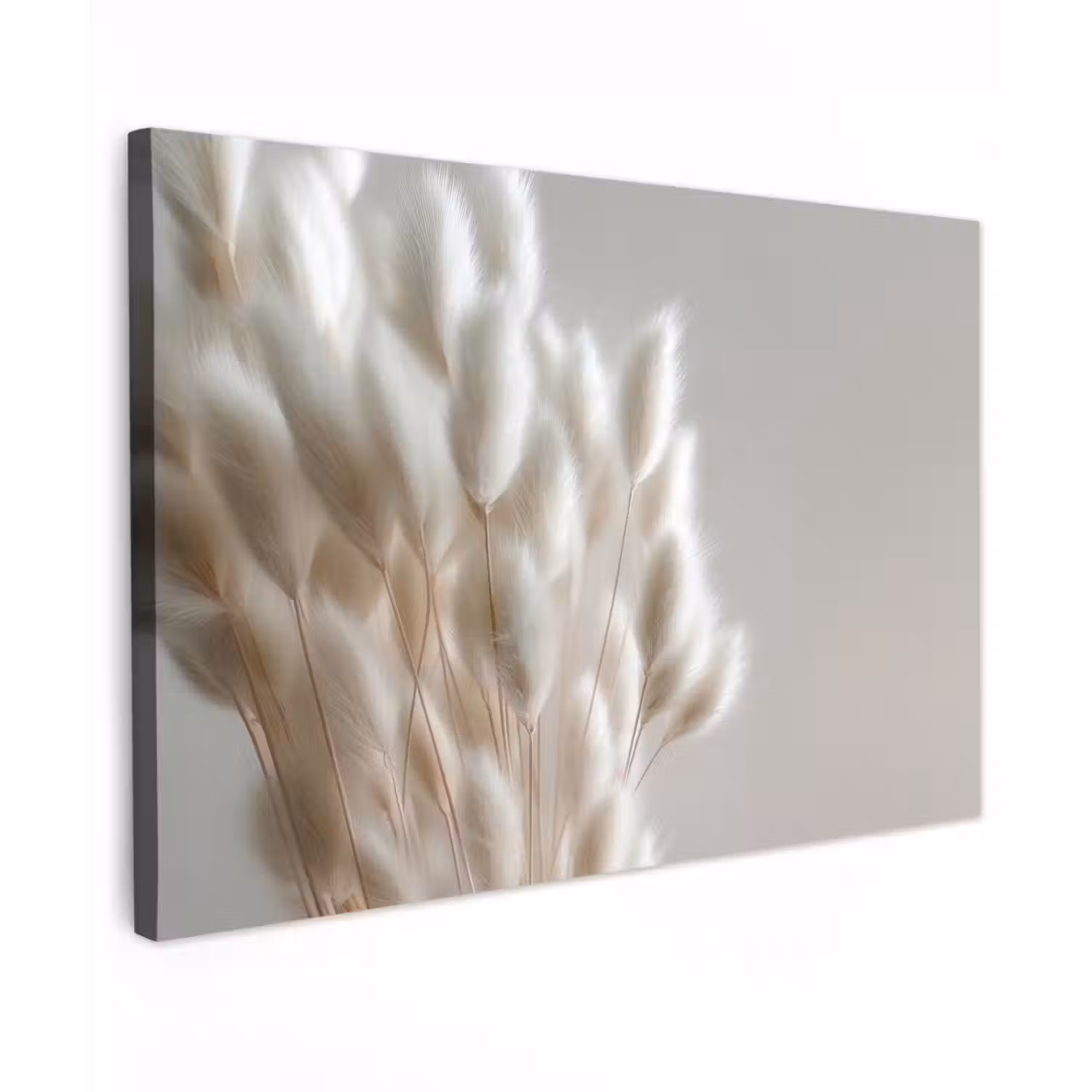 Pluimen - Beige - Minimalistisch canvas 2cm klein -z3d