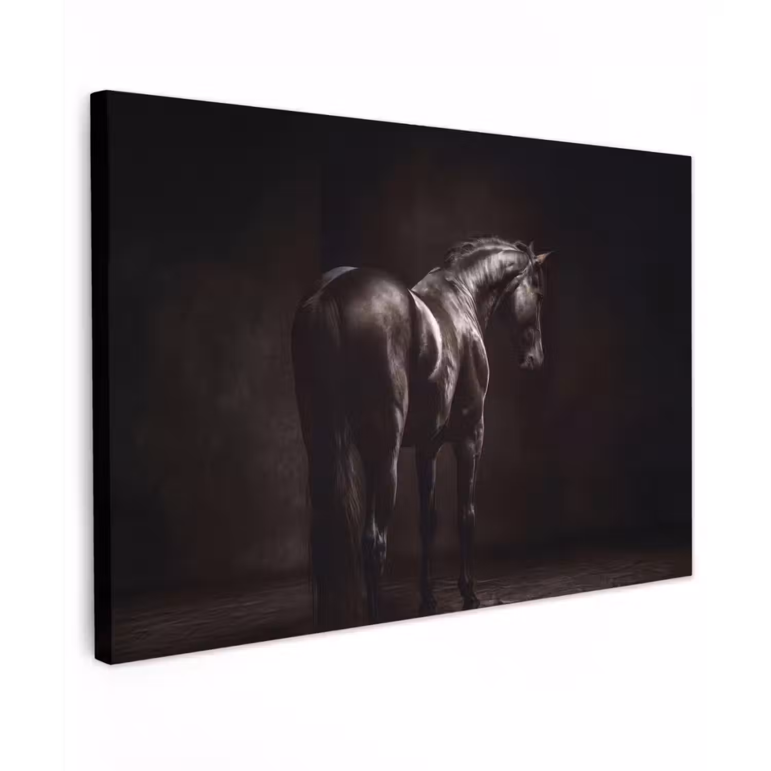 Krachtig - Paard - Donker canvas 2cm klein -z3d