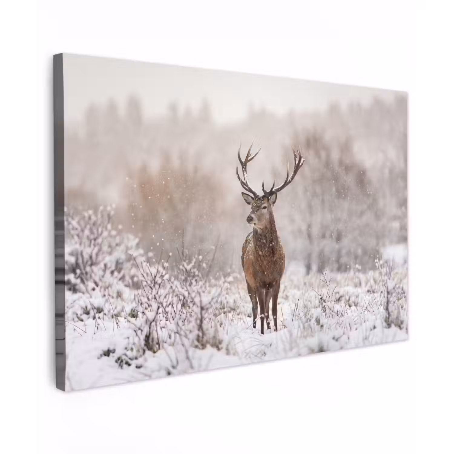 Edelhert - Bos - Sneeuw - Winter - Majestueus canvas 2cm klein -z3d