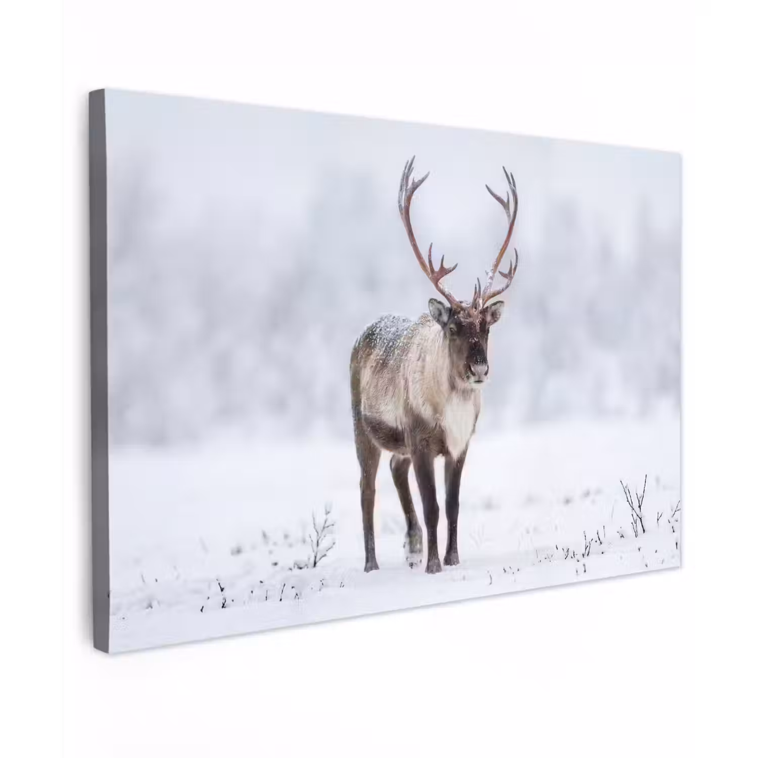 Rendier - Gewei - Toendra - Sneeuw - Wild canvas 2cm klein -z3d