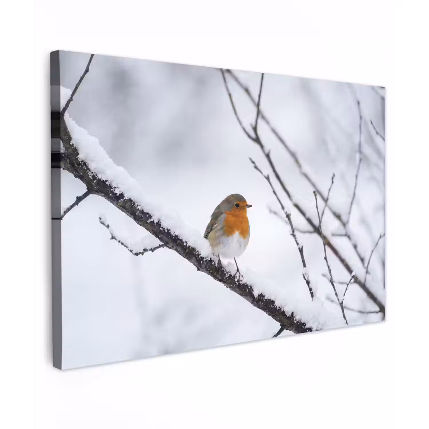 Roodborstje - Tak - Sneeuw - Winter - Levendig canvas 2cm klein -z3d