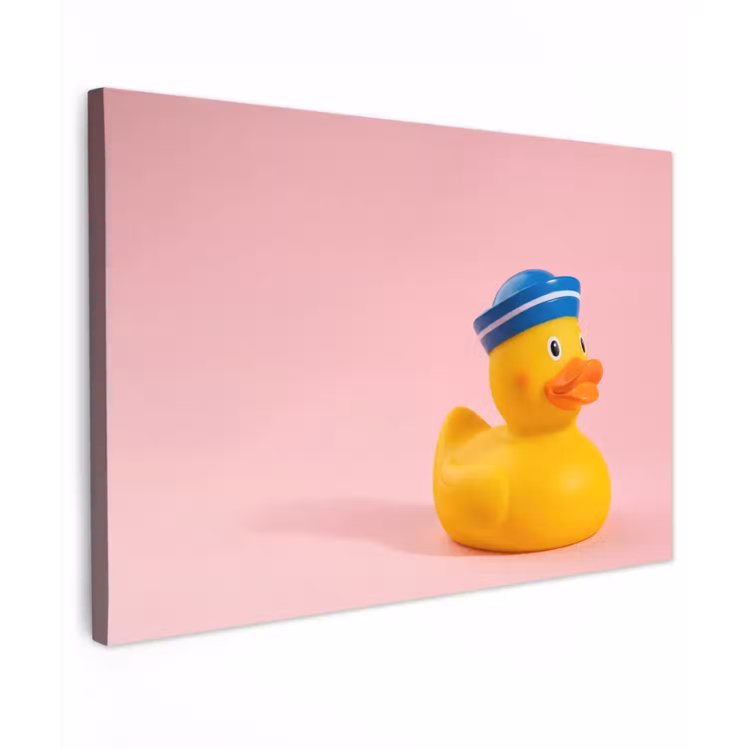 Matroos - Eend - Roze canvas 2cm klein -z3d