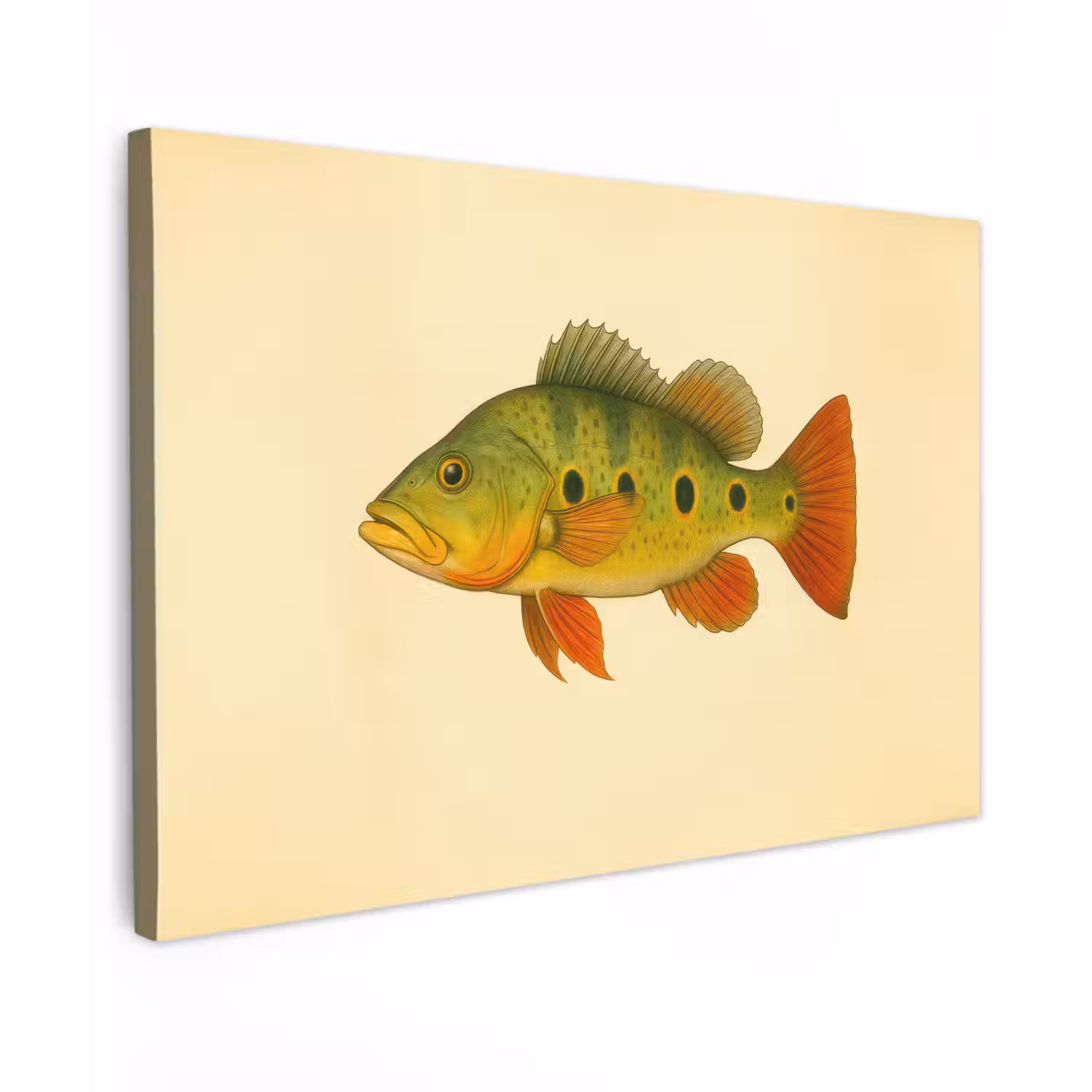 Schubben - Vis - Groen - Illustratie canvas 2cm klein -z3d