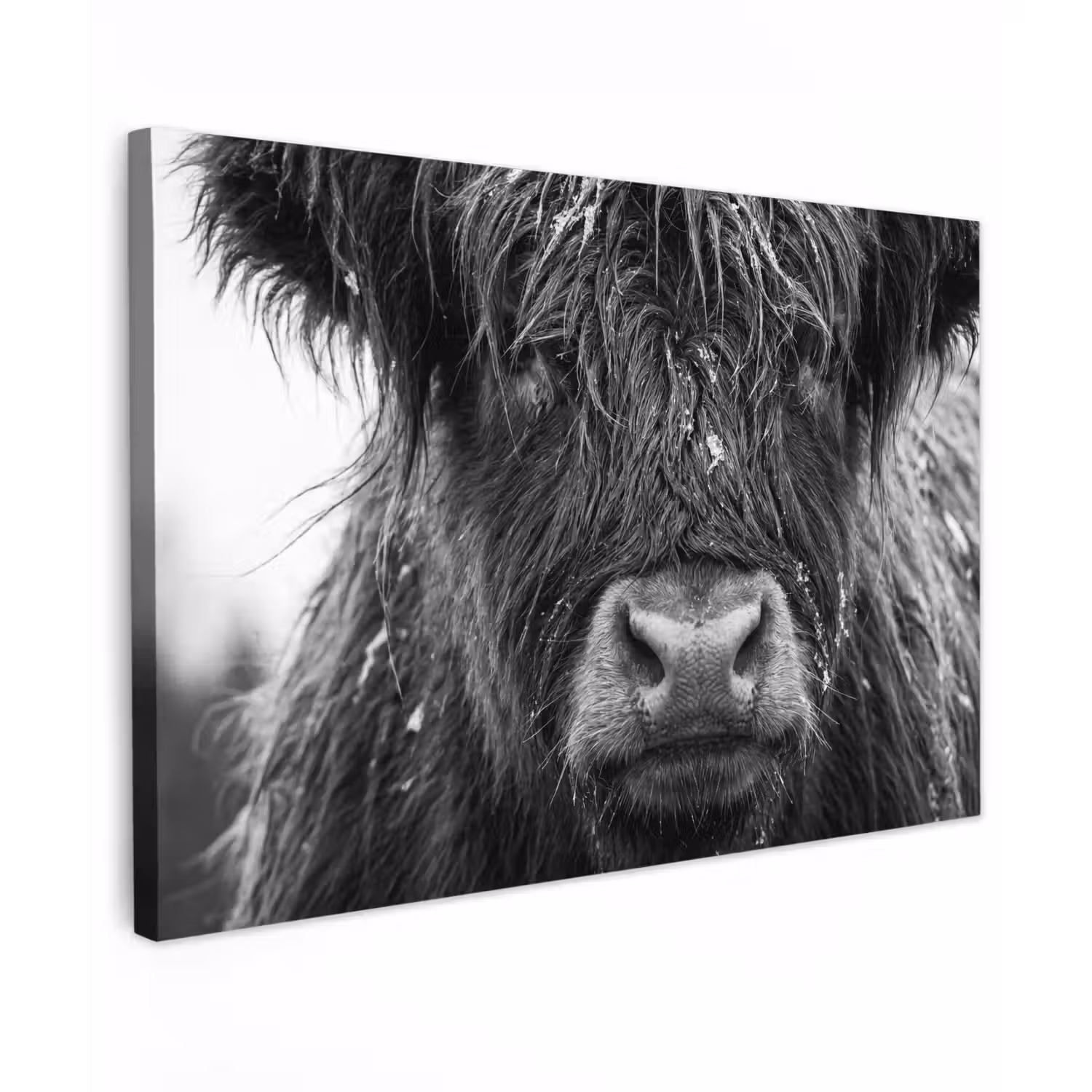 Schotse hooglander - Zwart - Wit - Sneeuwvlokken canvas 2cm klein -z3d
