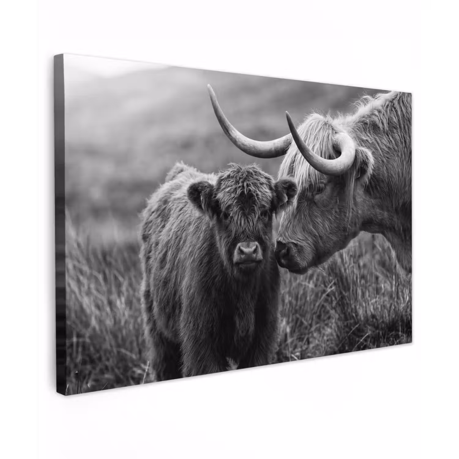 Schotse hooglander - Kalf - Zwart - Wit canvas 2cm klein -z3d