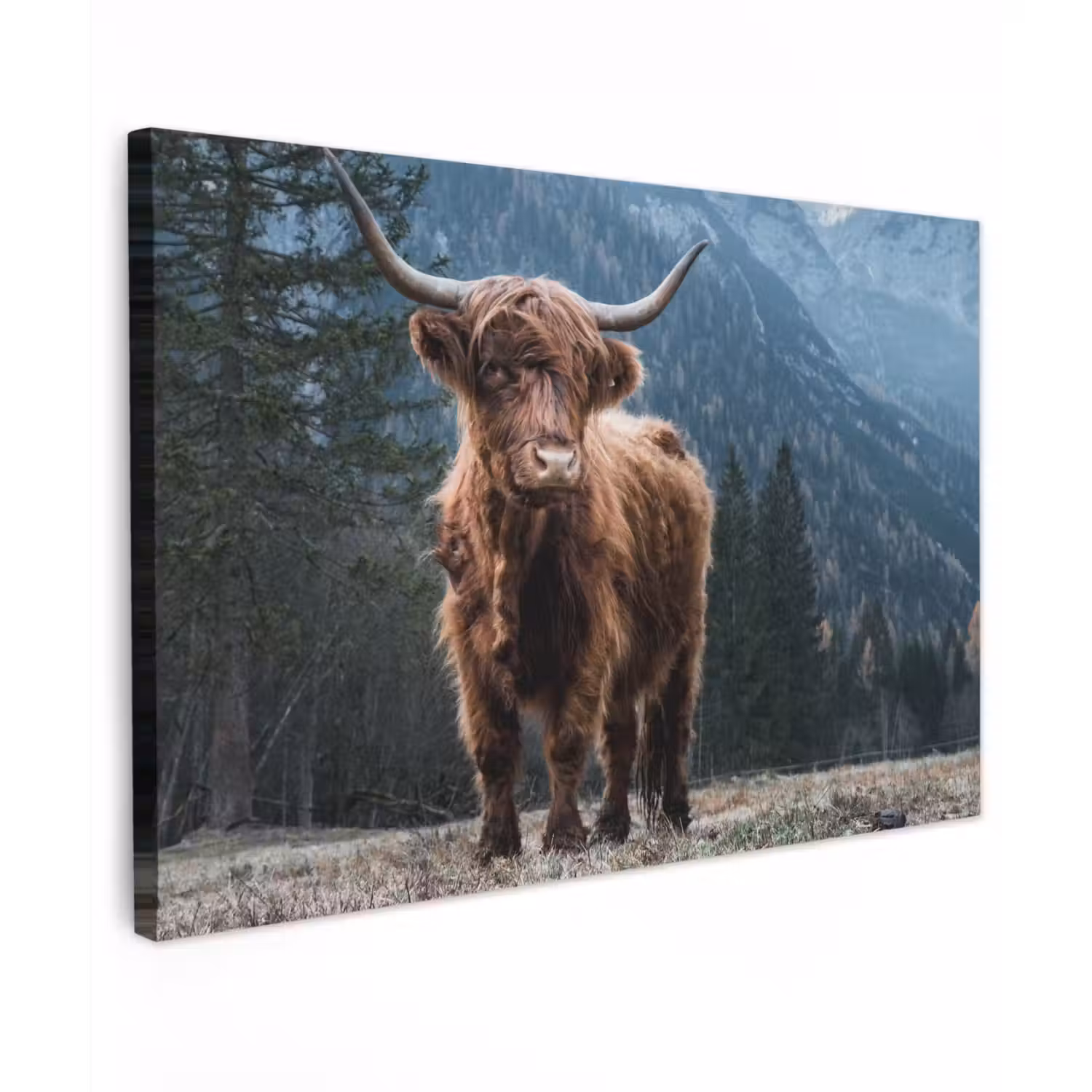 Schotse hooglander - Berg - Landschap - Bomen - Koe - Natuur canvas 2cm klein -z3d