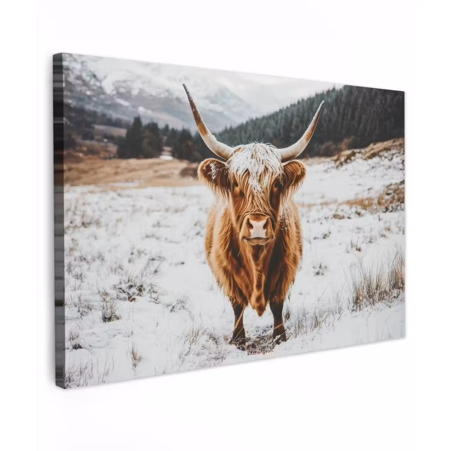 Schotse Hooglander - Sneeuw - Winter - Dieren canvas 2cm klein -z3d