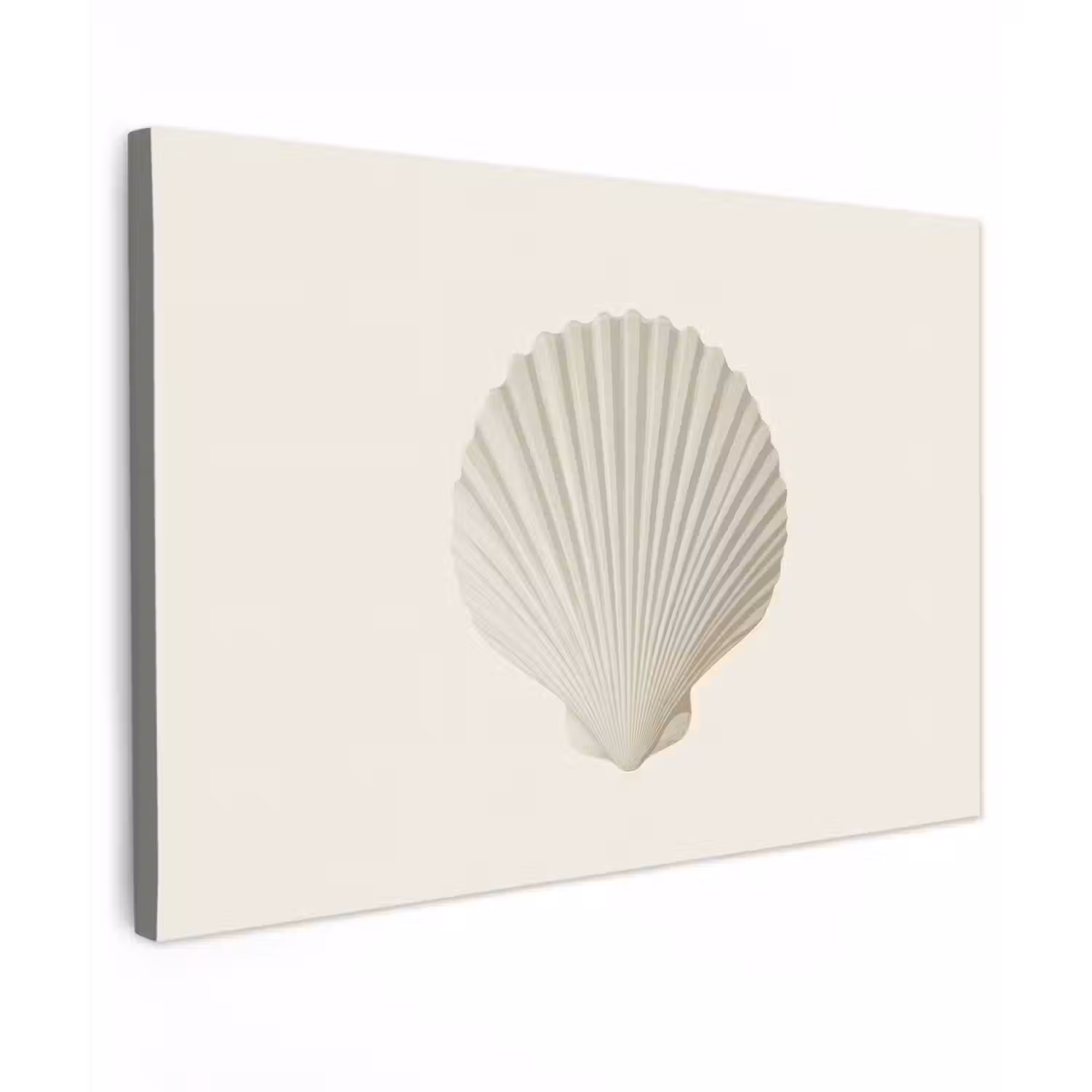 Schelp - Minimalistisch - Wit canvas 2cm klein -z3d