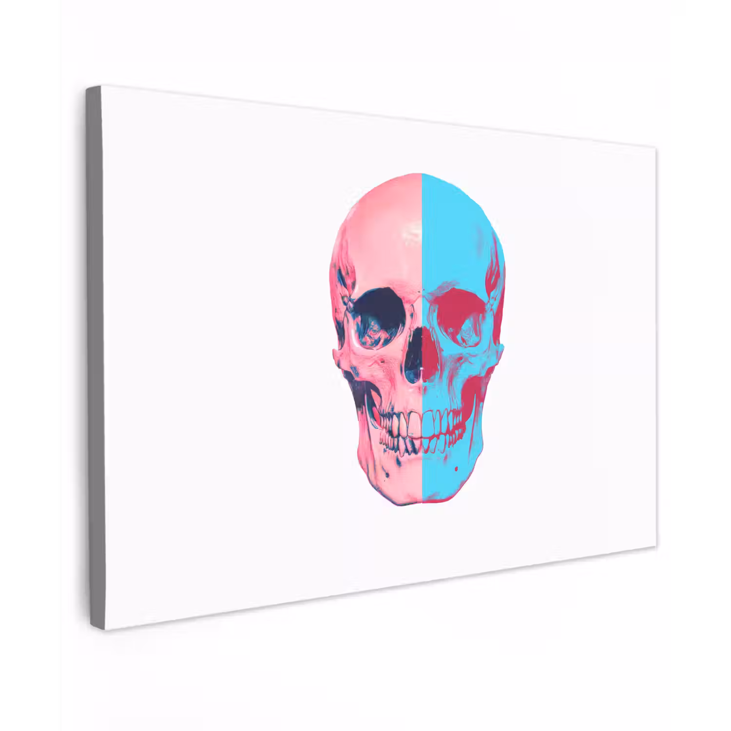 Schedel - Grafisch - Roze - Verdeeld canvas 2cm klein -z3d