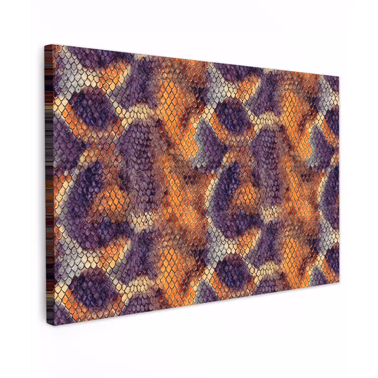 Slang - Kleurrijk - Schubben canvas 2cm klein 34 -z3d