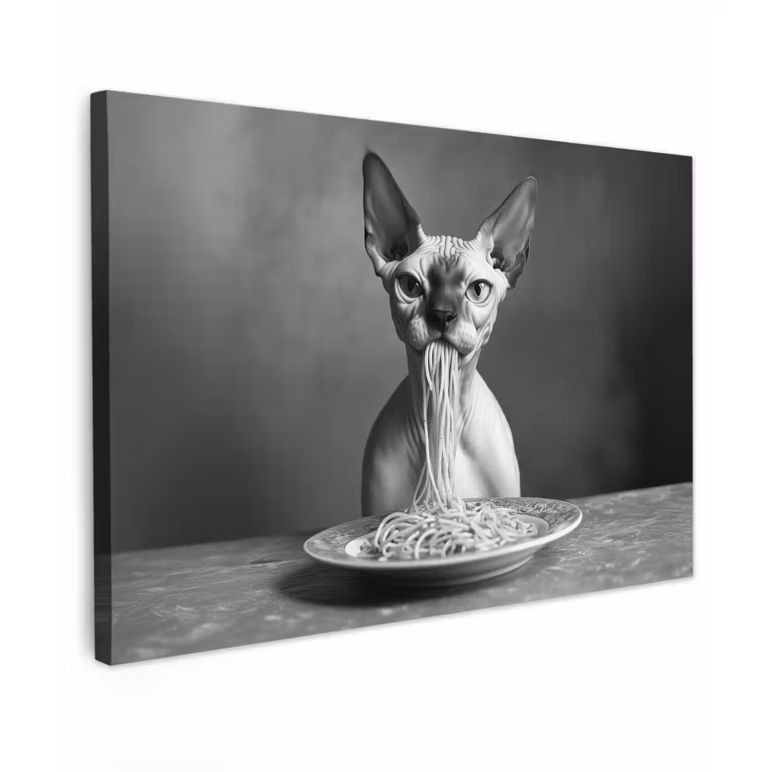 Sphynx - Kat - Dieren - Humor - Spaghetti - Zwart Wit canvas 2cm klein -z3d