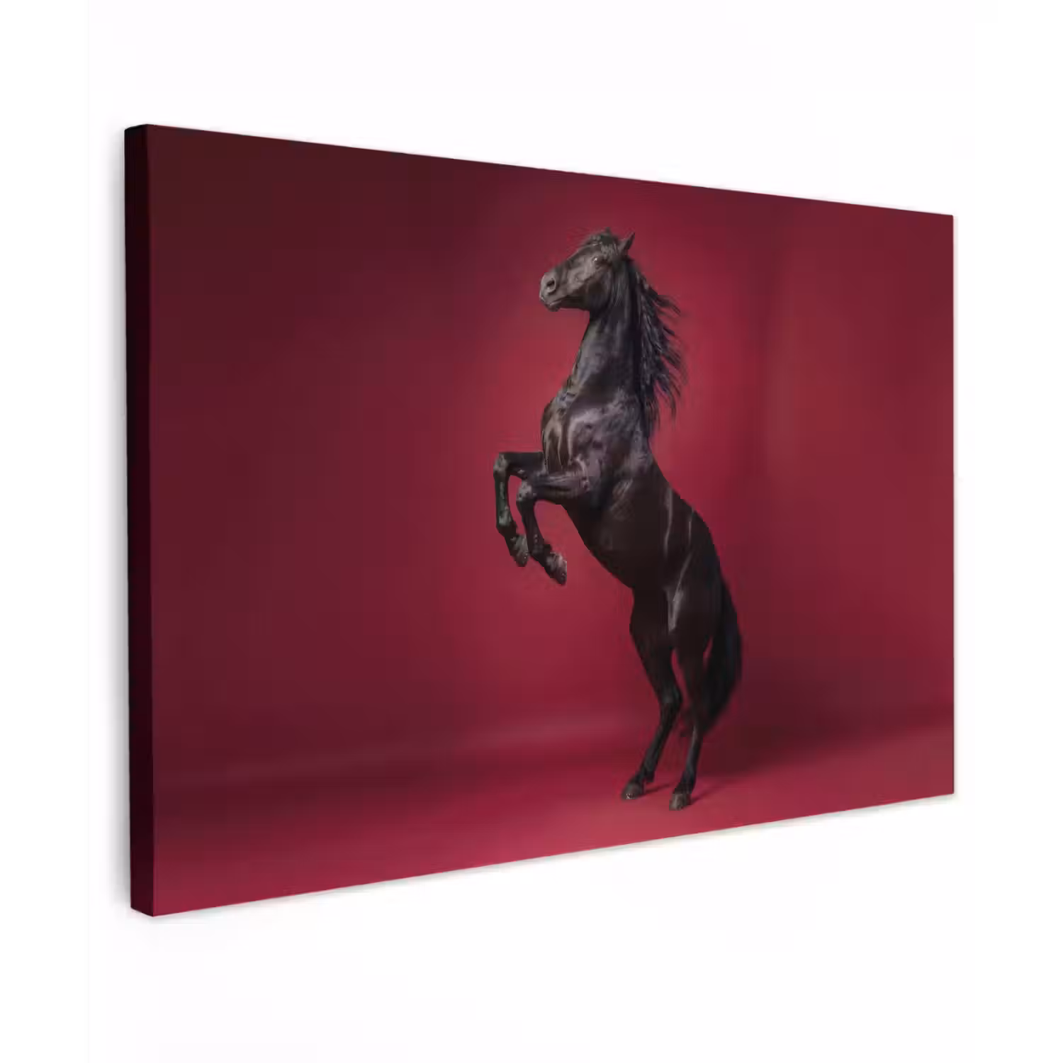 Hengst - Steigert - Rood canvas 2cm klein -z3d