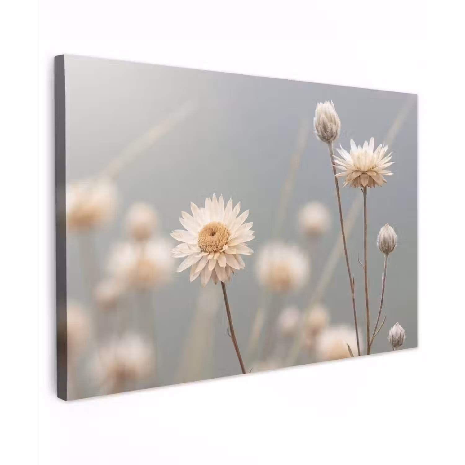 Strobloemen - Wit - Daglicht canvas 2cm klein -z3d