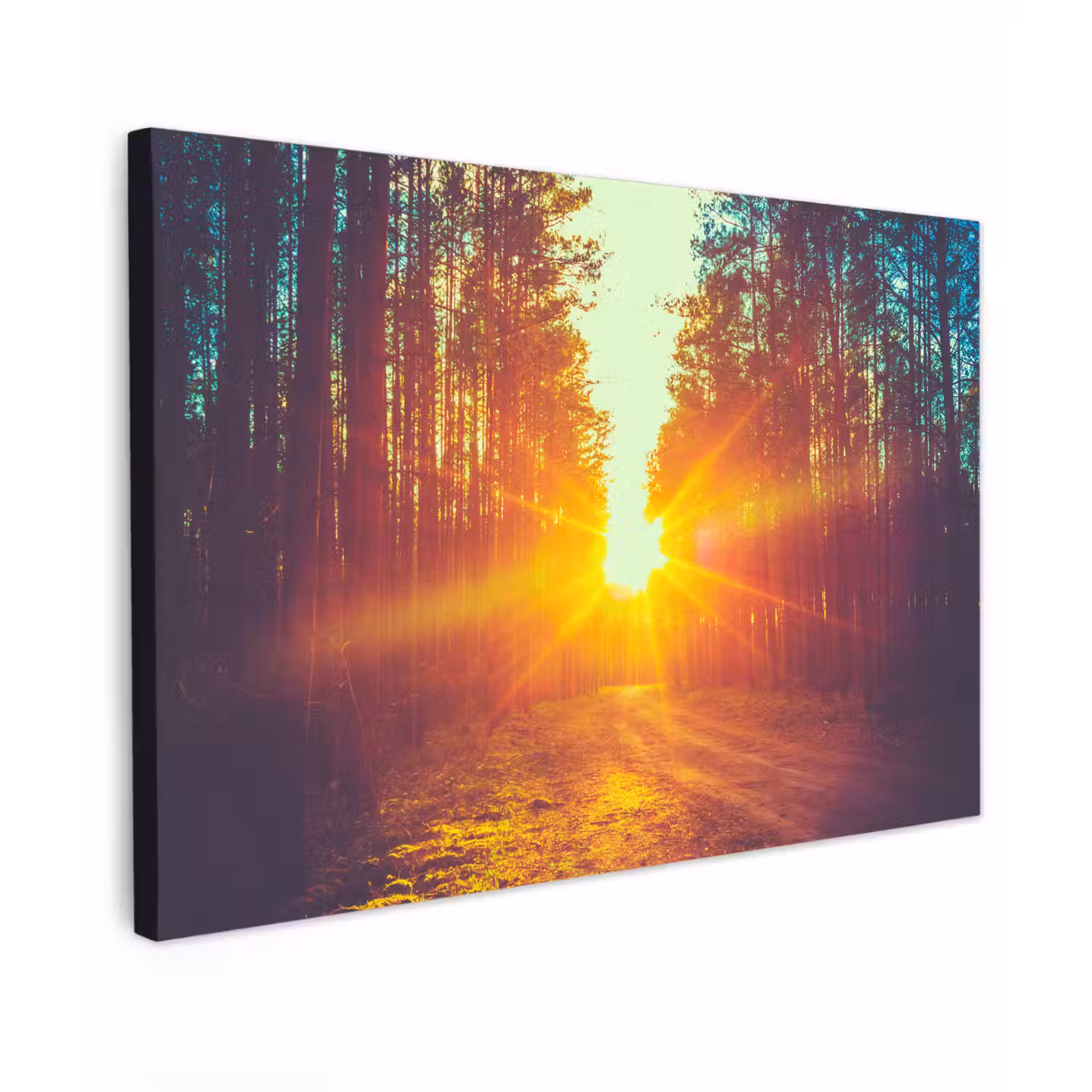 Zonsondergang - Bomen - Bos - Natuur canvas 2cm klein -z3d