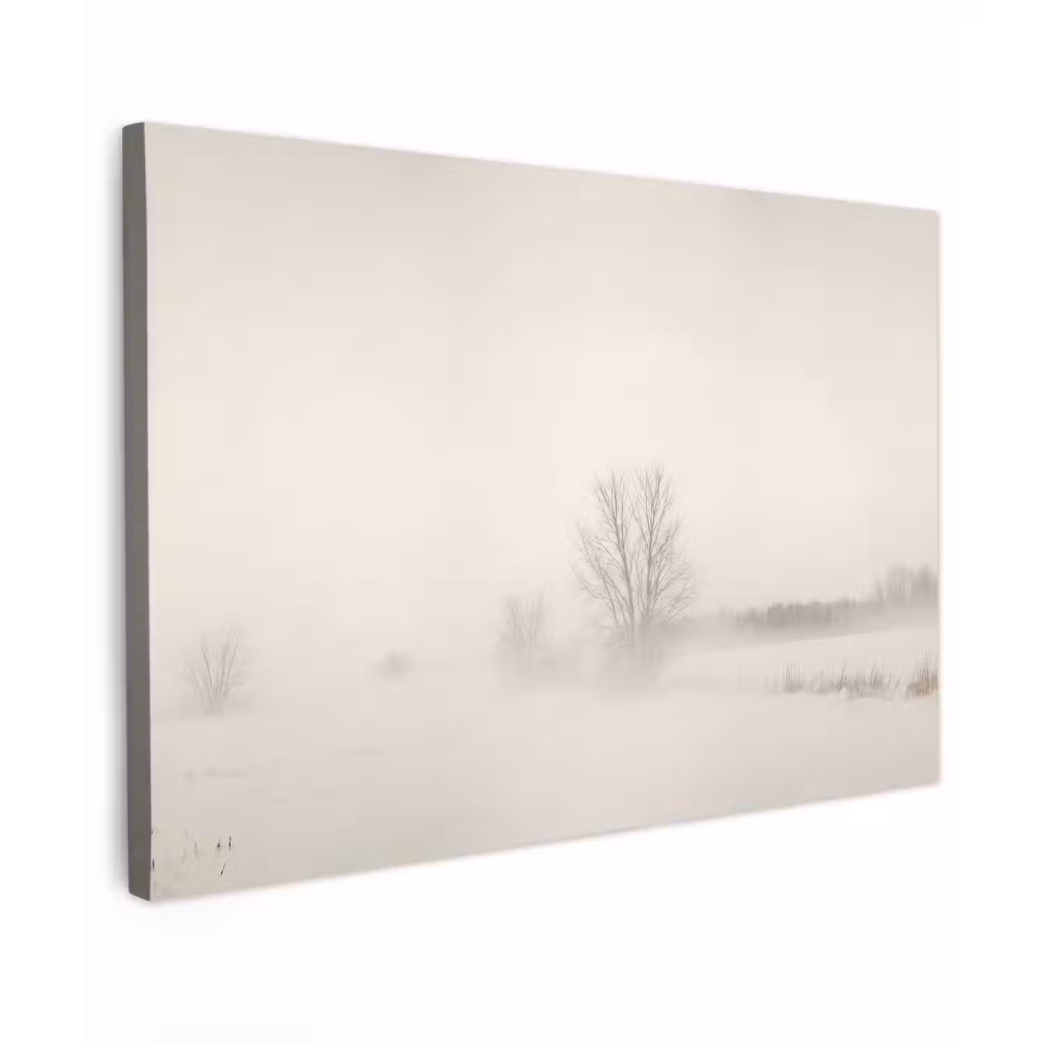 Boom - Mist - Sneeuw - Winter - Minimalistisch canvas 2cm klein -z3d