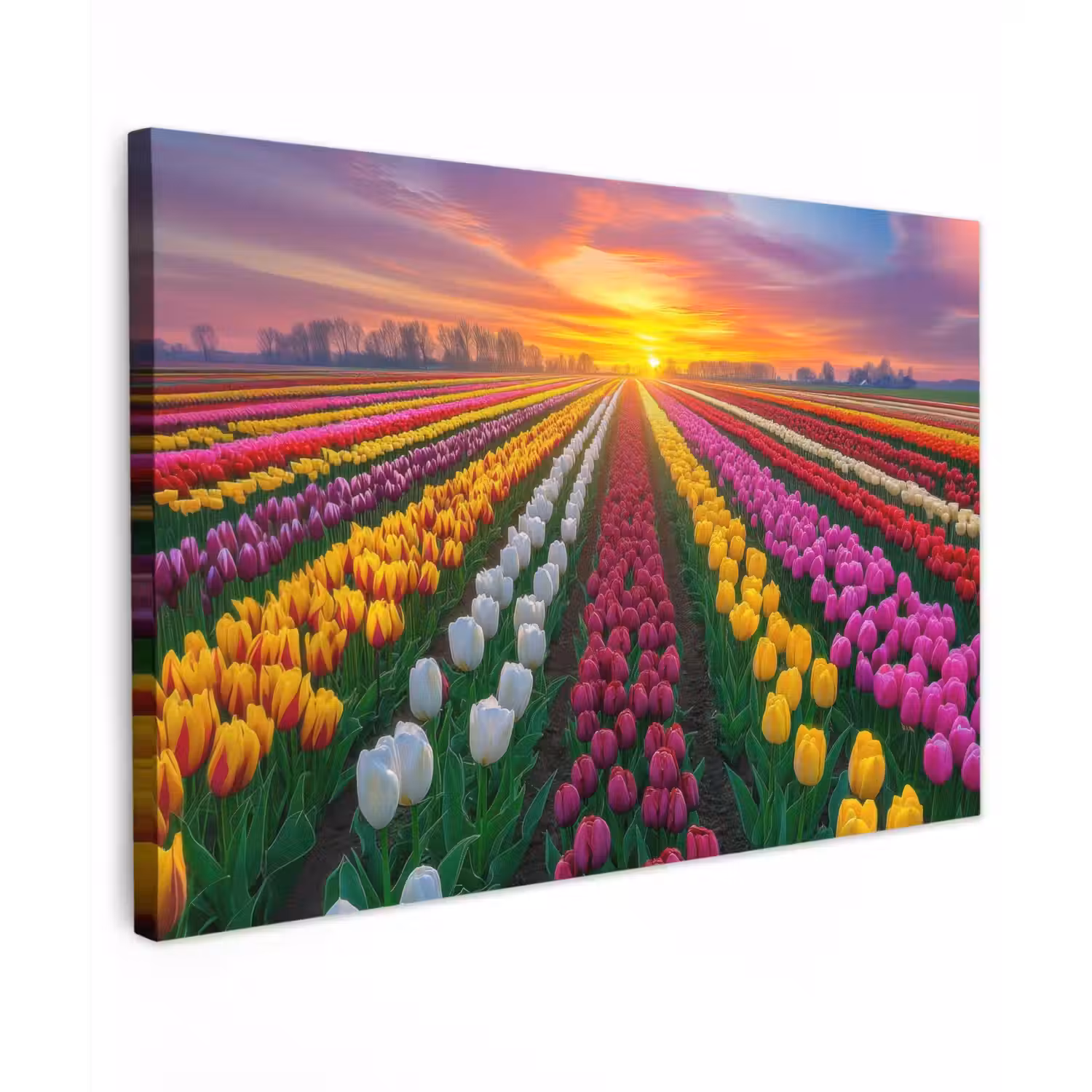 Tulpenveld - Zonsondergang - Kleurrijk canvas 2cm klein -z3d