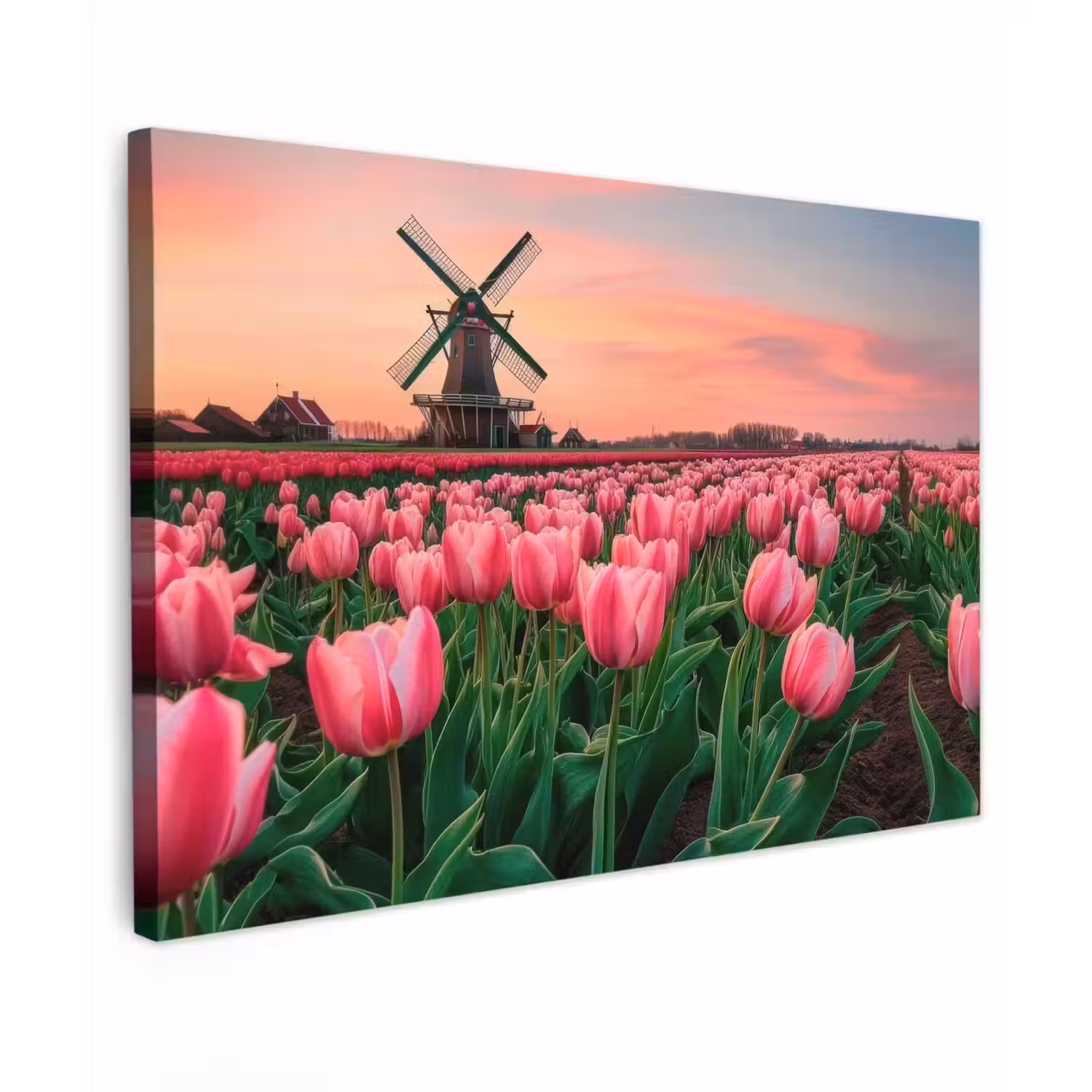 Tulpen - Molen - Nederland canvas 2cm klein -z3d