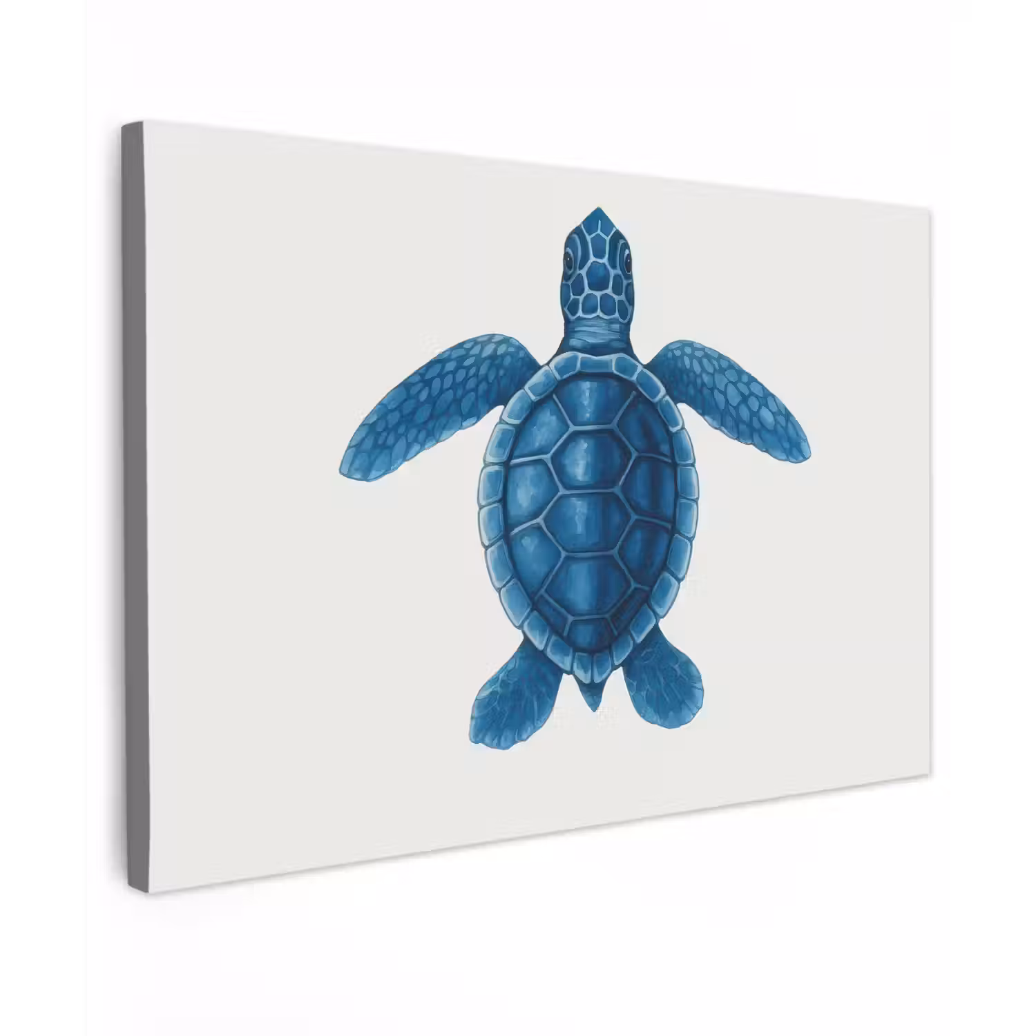 Schildpad - Blauw - Schild canvas 2cm klein -z3d