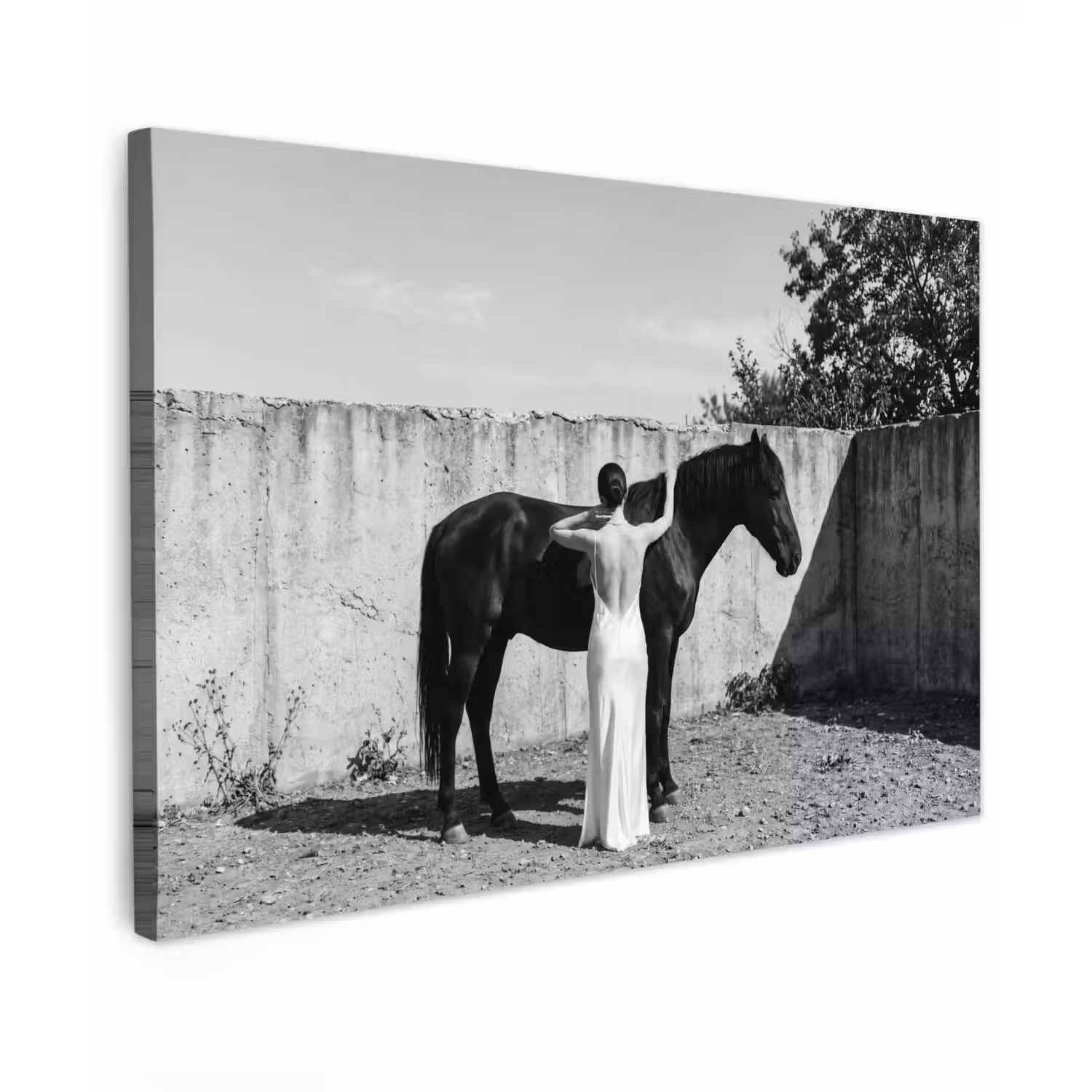Vrouw - Paard - Artistiek canvas 2cm klein -z3d