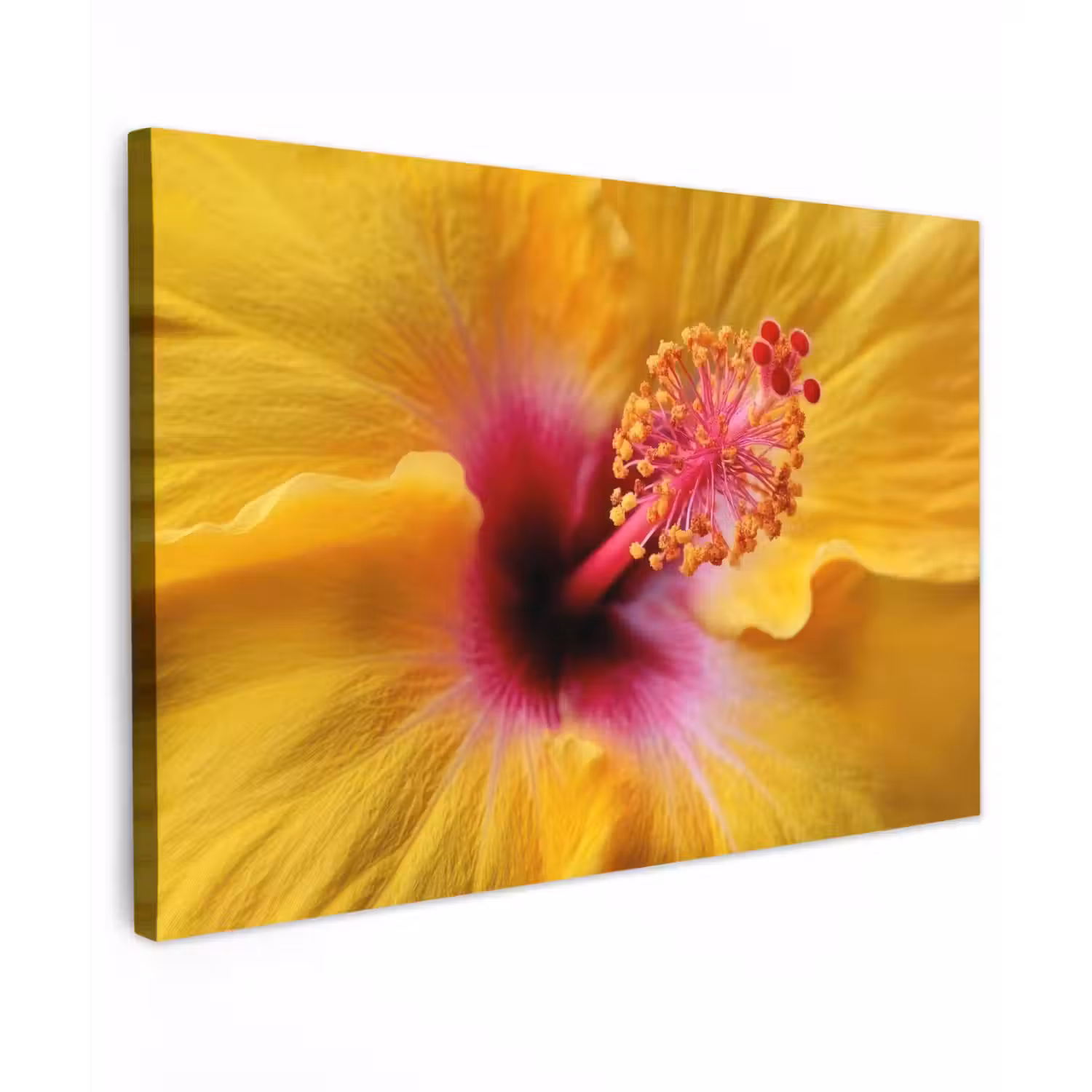 Geel - Hibiscus - Tropisch canvas 2cm klein -z3d