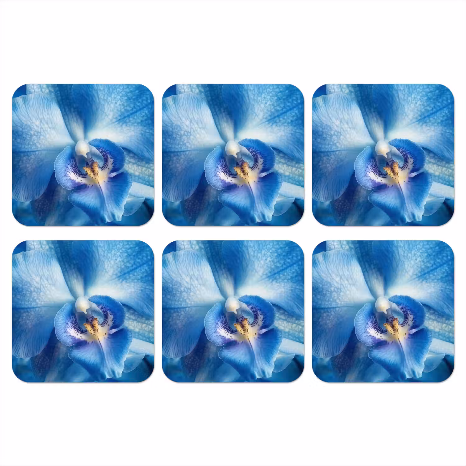 Blauw - Orchidee - Elegeant onderzetter kurk middel -3d