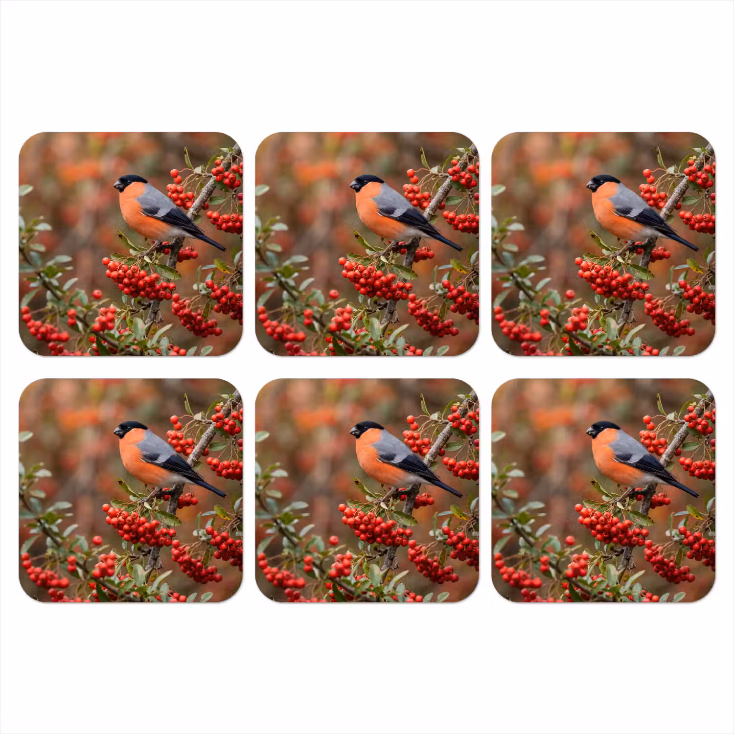 Goudvink - Bessen - Herfst - Natuur - Kleurrijk onderzetter kurk middel -3d