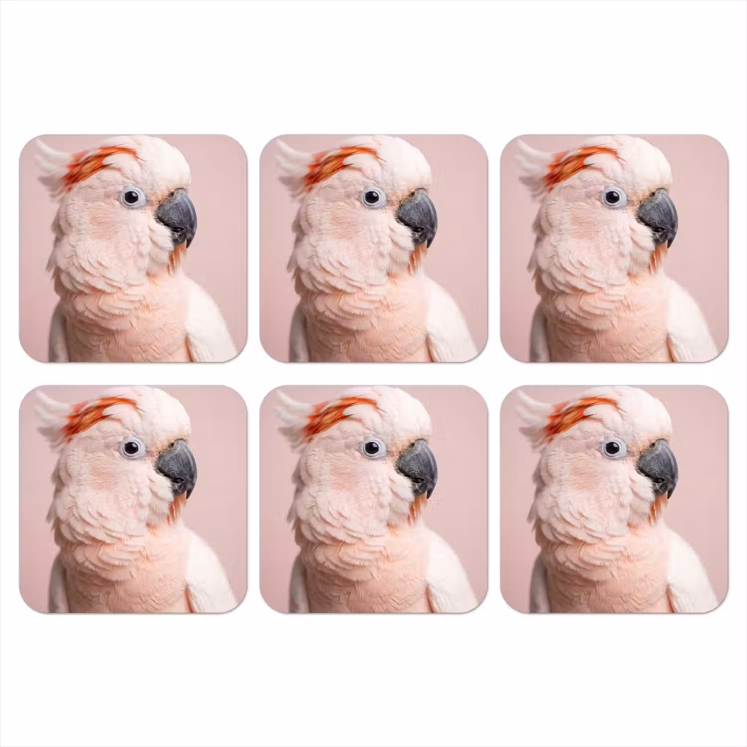 Kaketoe - Portret - Roze onderzetter kurk middel -3d