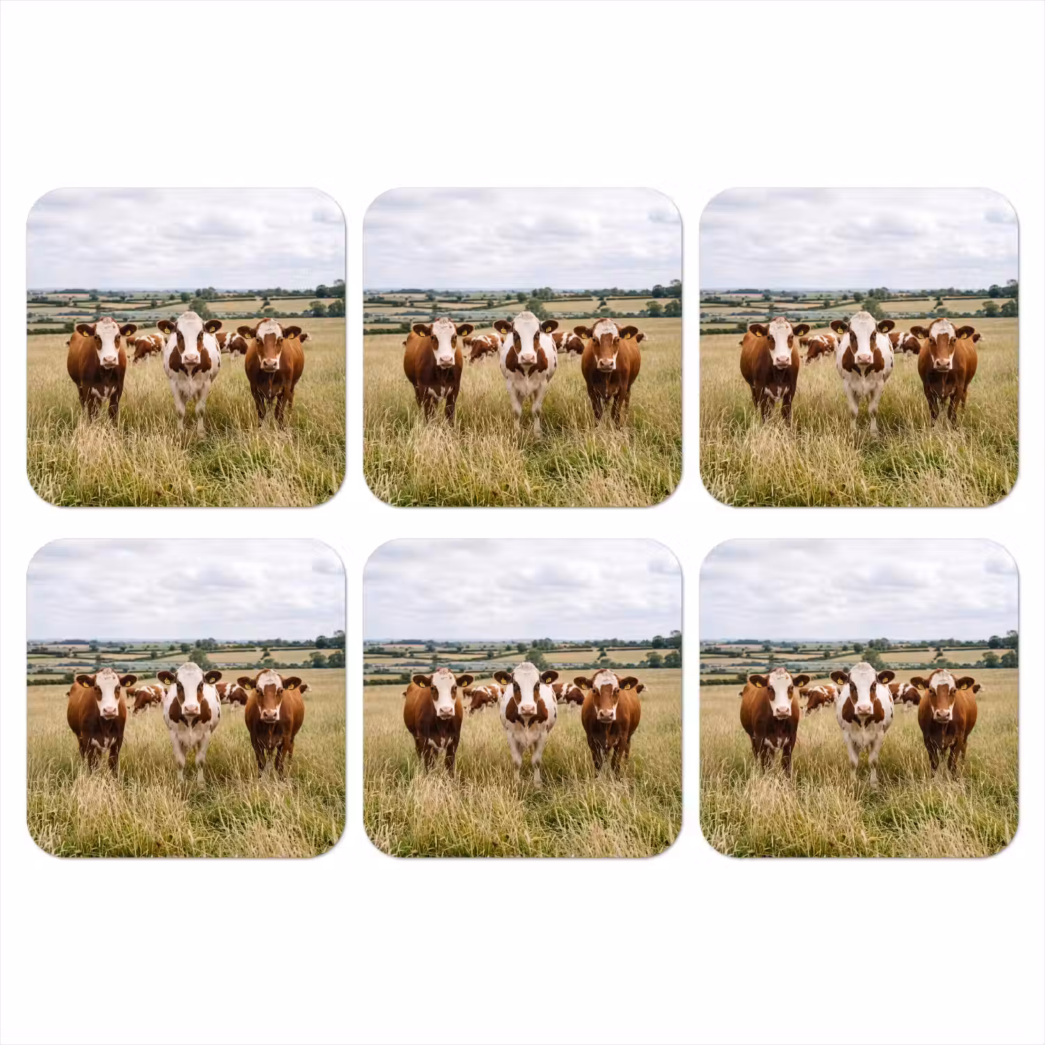 Koeien - Portret - Weide - Boerderij - Nieuwsgierig onderzetter kurk middel -3d