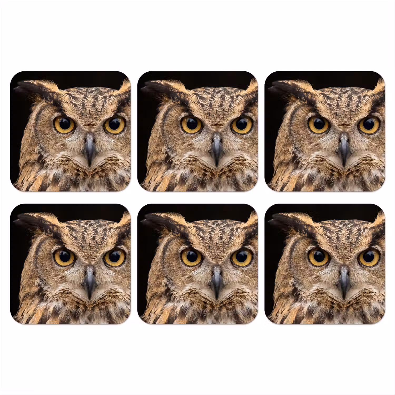 Oehoe - Uil - Portret - Bruin onderzetter kurk middel -3d