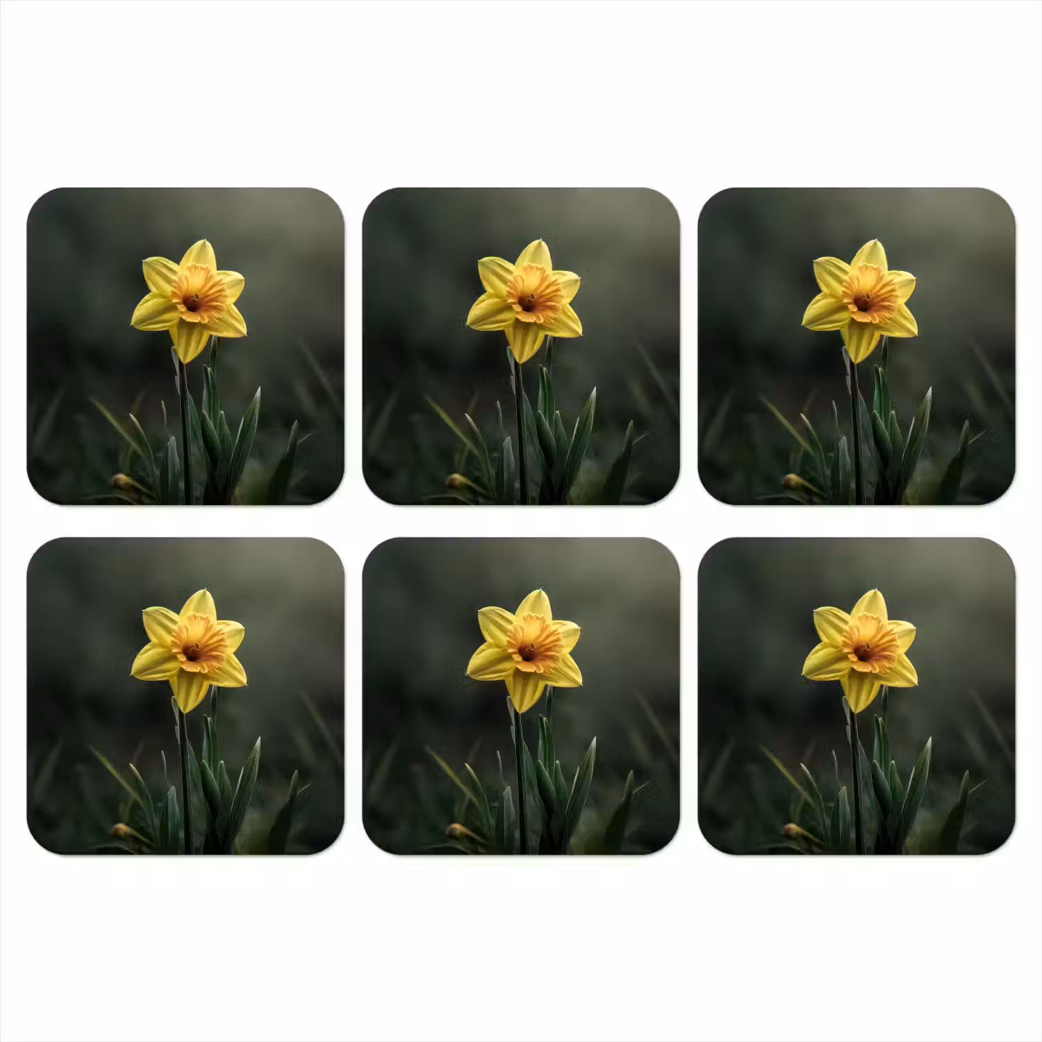 Bloem - Narcis - Gras - Geel onderzetter kurk middel -3d