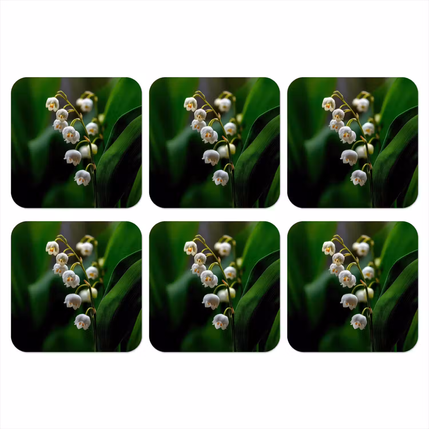 Bloemen - Wit - Bladeren - Lelietjes onderzetter kurk middel -3d