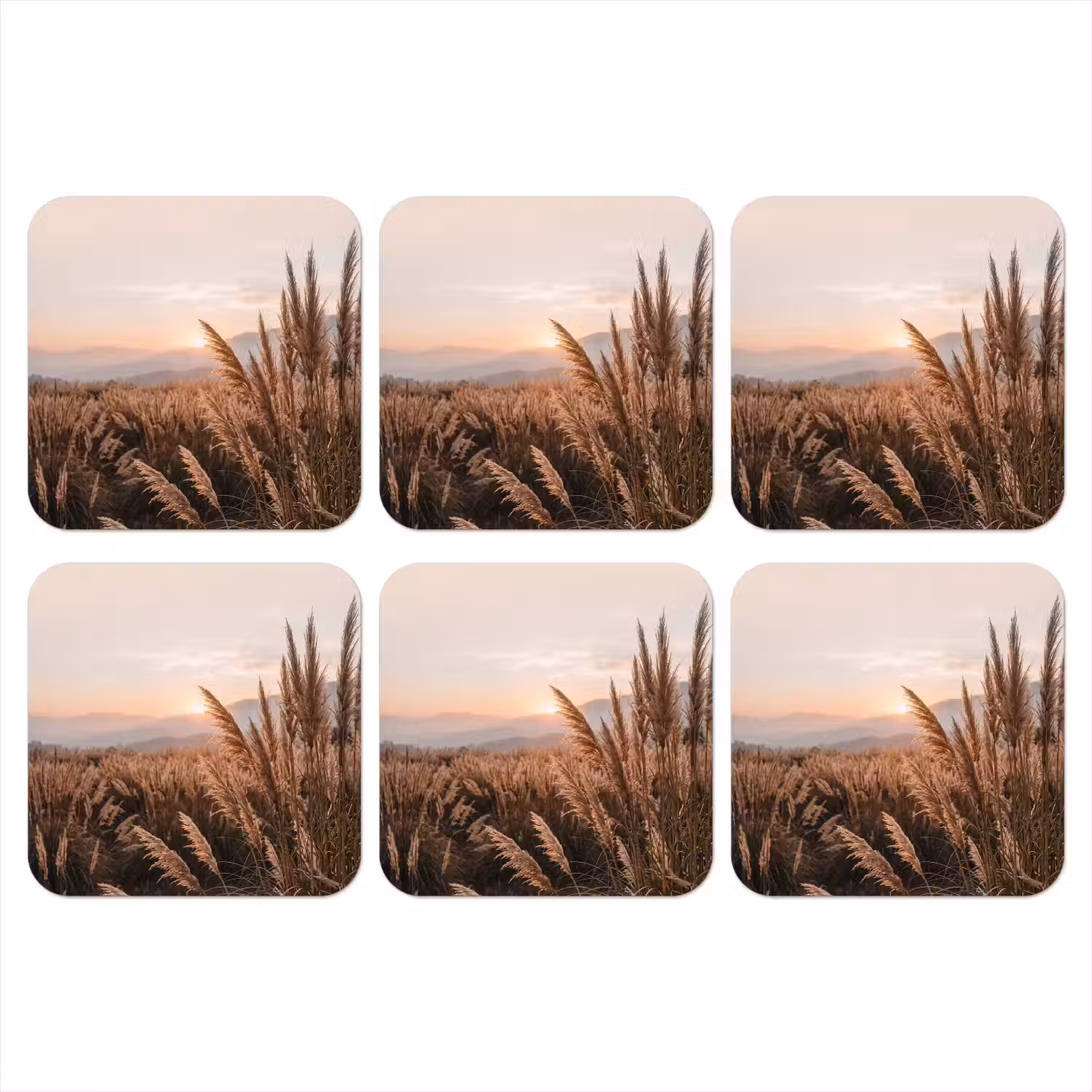 Gras - Veld - Zon - Natuur onderzetter kurk middel -3d