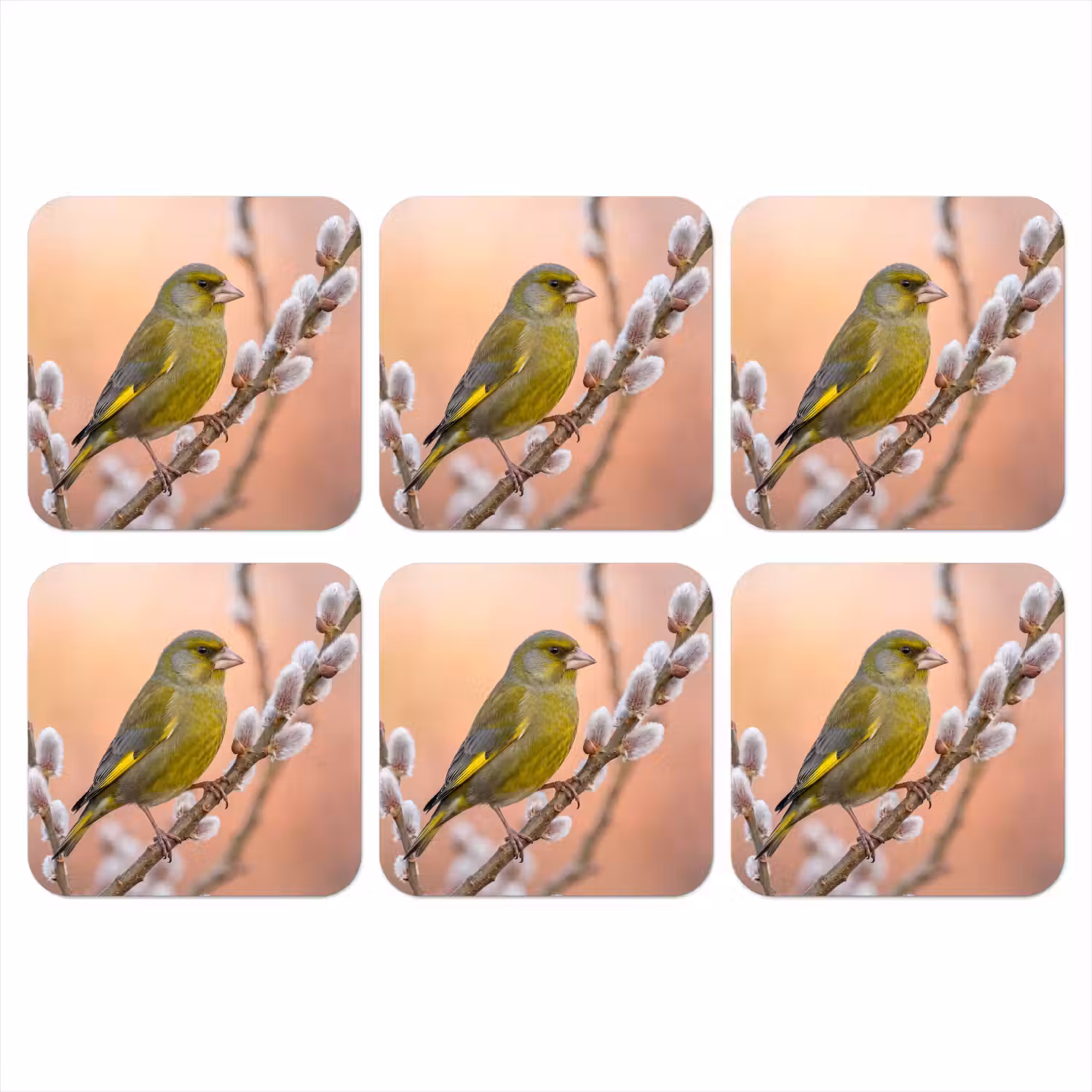 Groenling - Katjes - Lente - Natuur - Zacht onderzetter kurk middel -3d