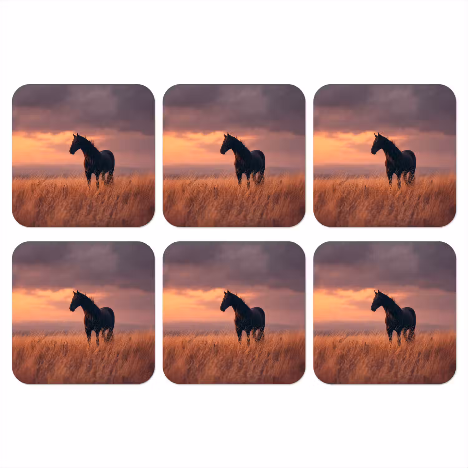 Paard - Wolken - Open veld onderzetter kurk middel -3d