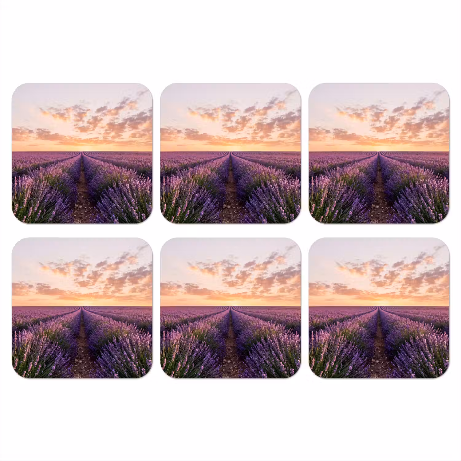 Landschap - Lavendelveld - Paars onderzetter kurk middel -3d