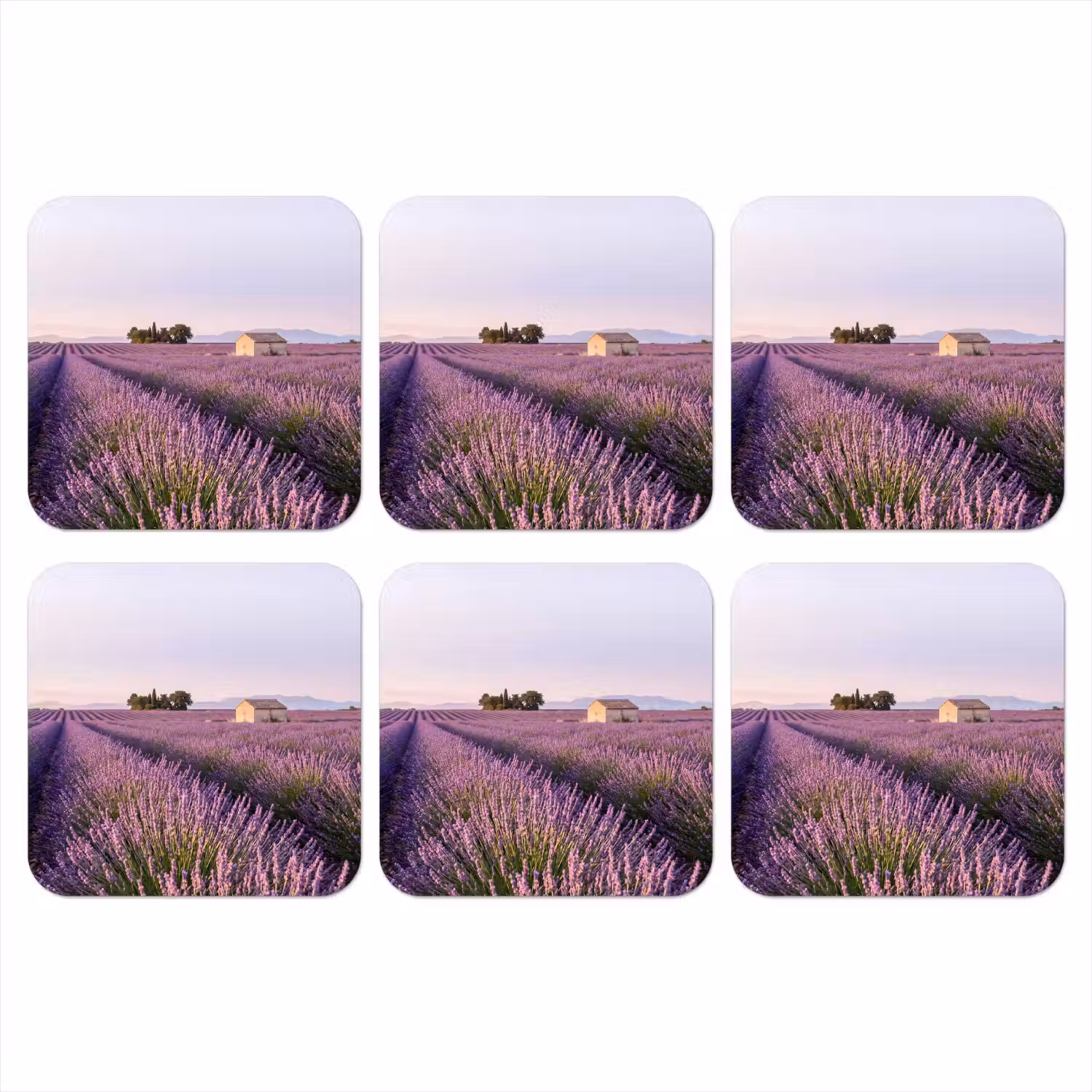 Lavendel - Landschap - Sereen - Paars onderzetter kurk middel -3d