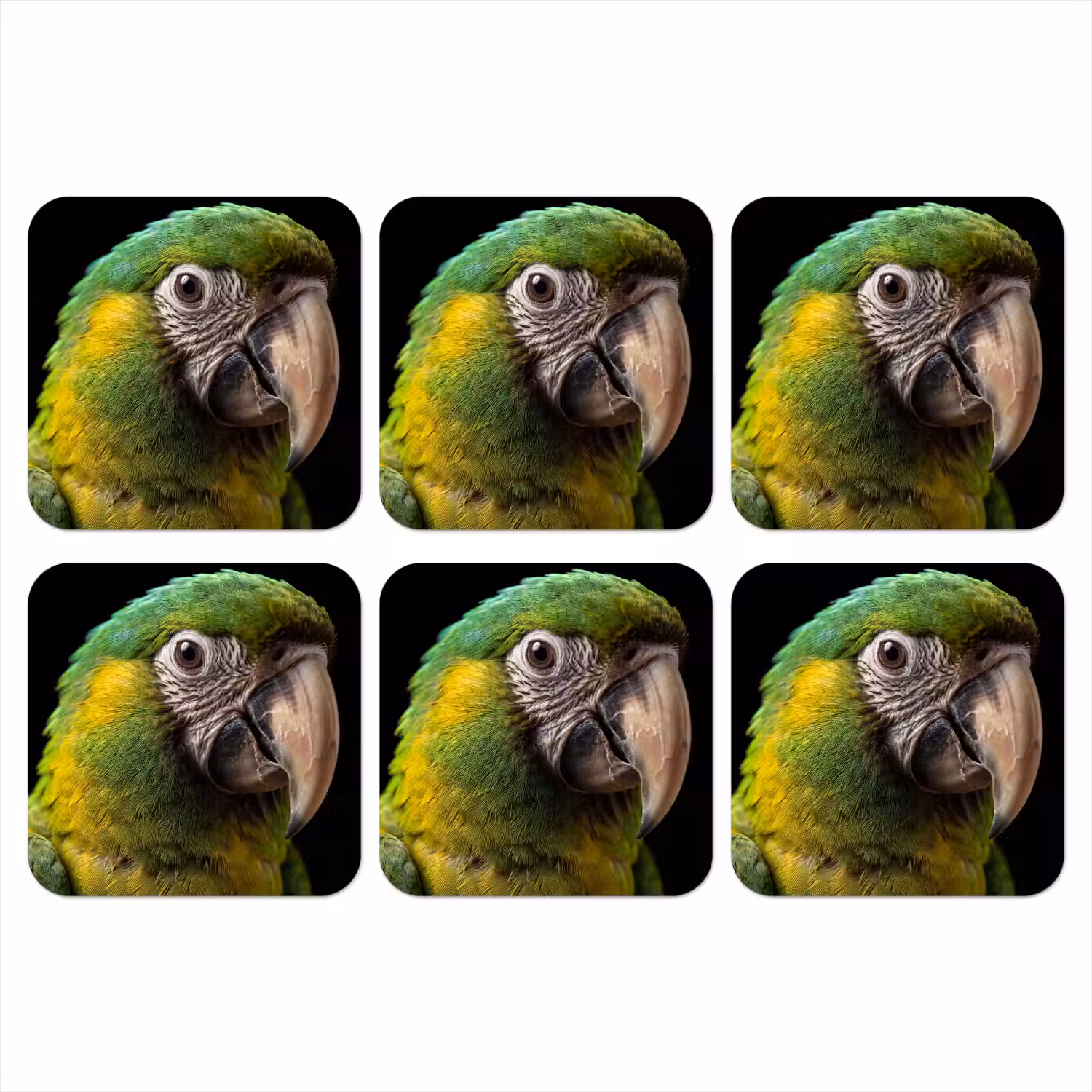 Ara - Portret - Groen onderzetter kurk middel -3d