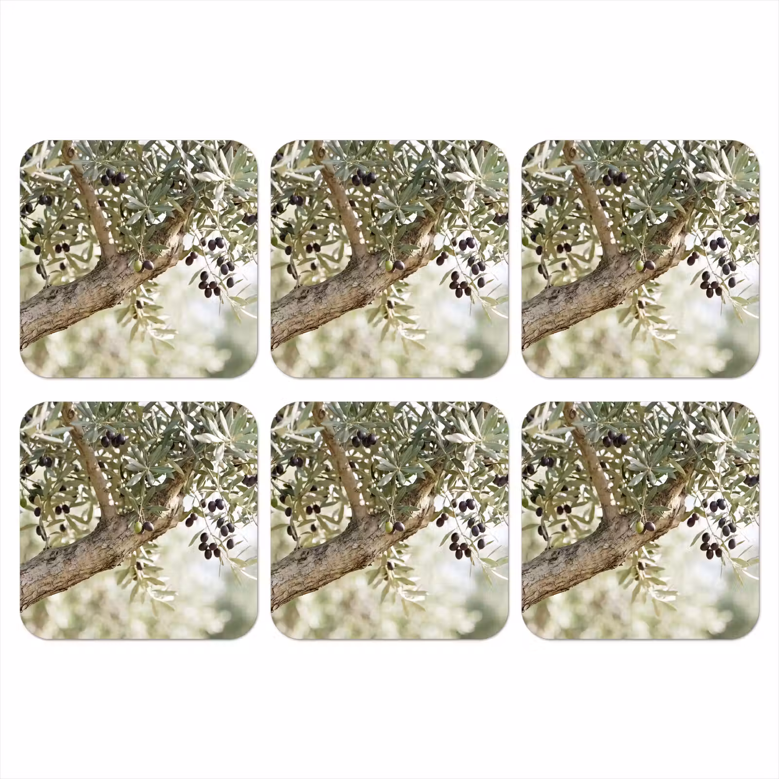 Coaster - Olive tree - branch - green - Olijfboom - tak - groen onderzetter kurk middel