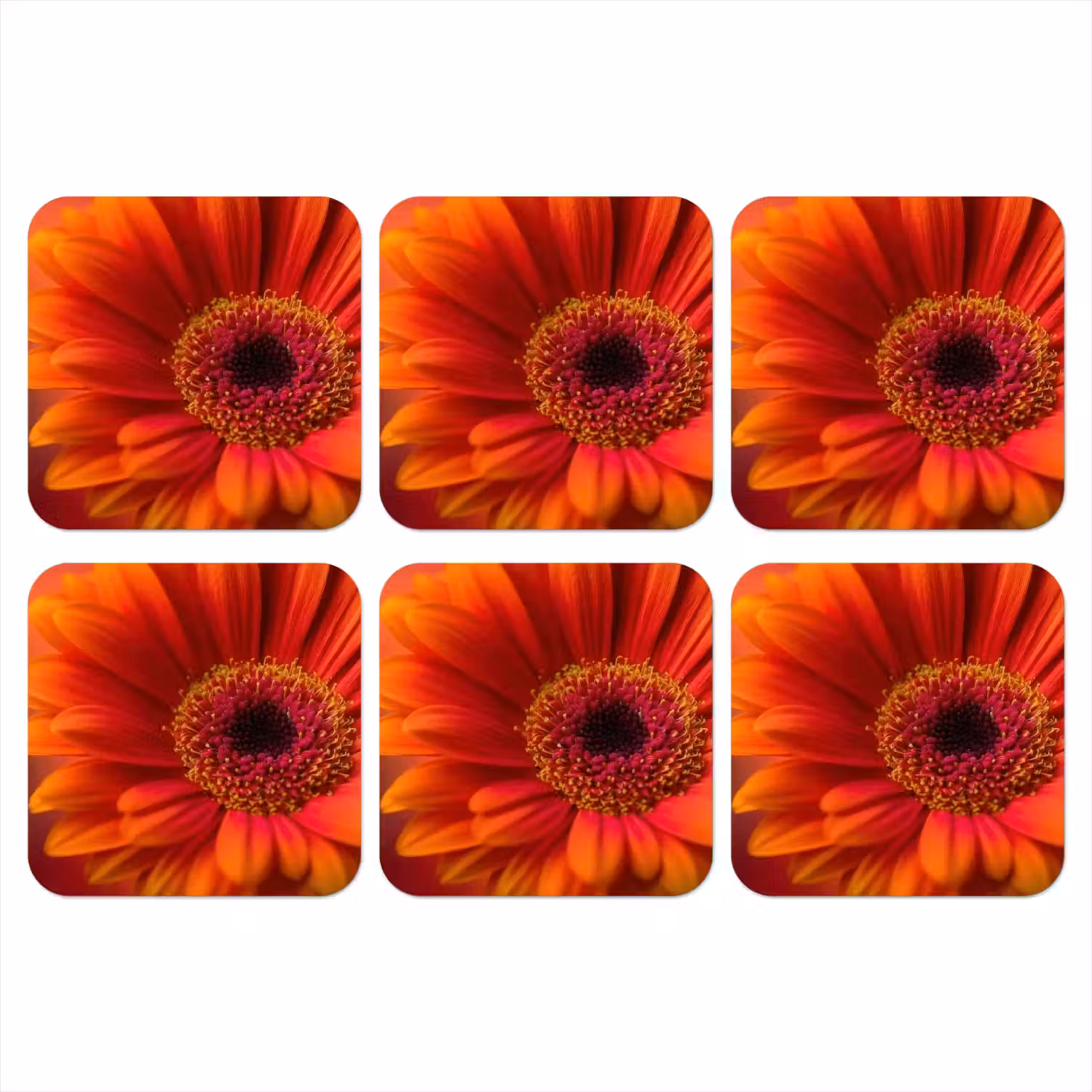 Oranje - Gerbera - Intens onderzetter kurk middel -3d