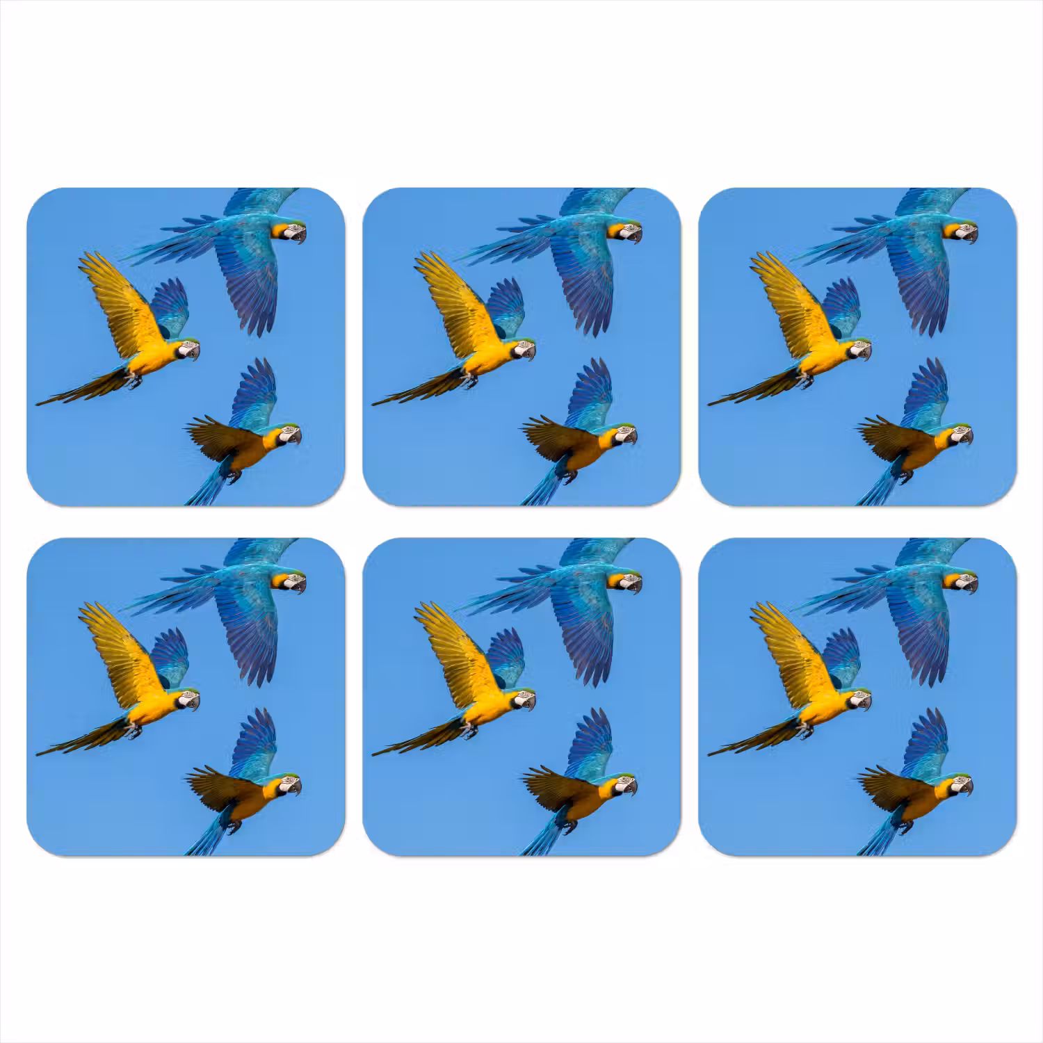 Papagaai - Vliegen - Blauw - Geel onderzetter kurk middel -3d