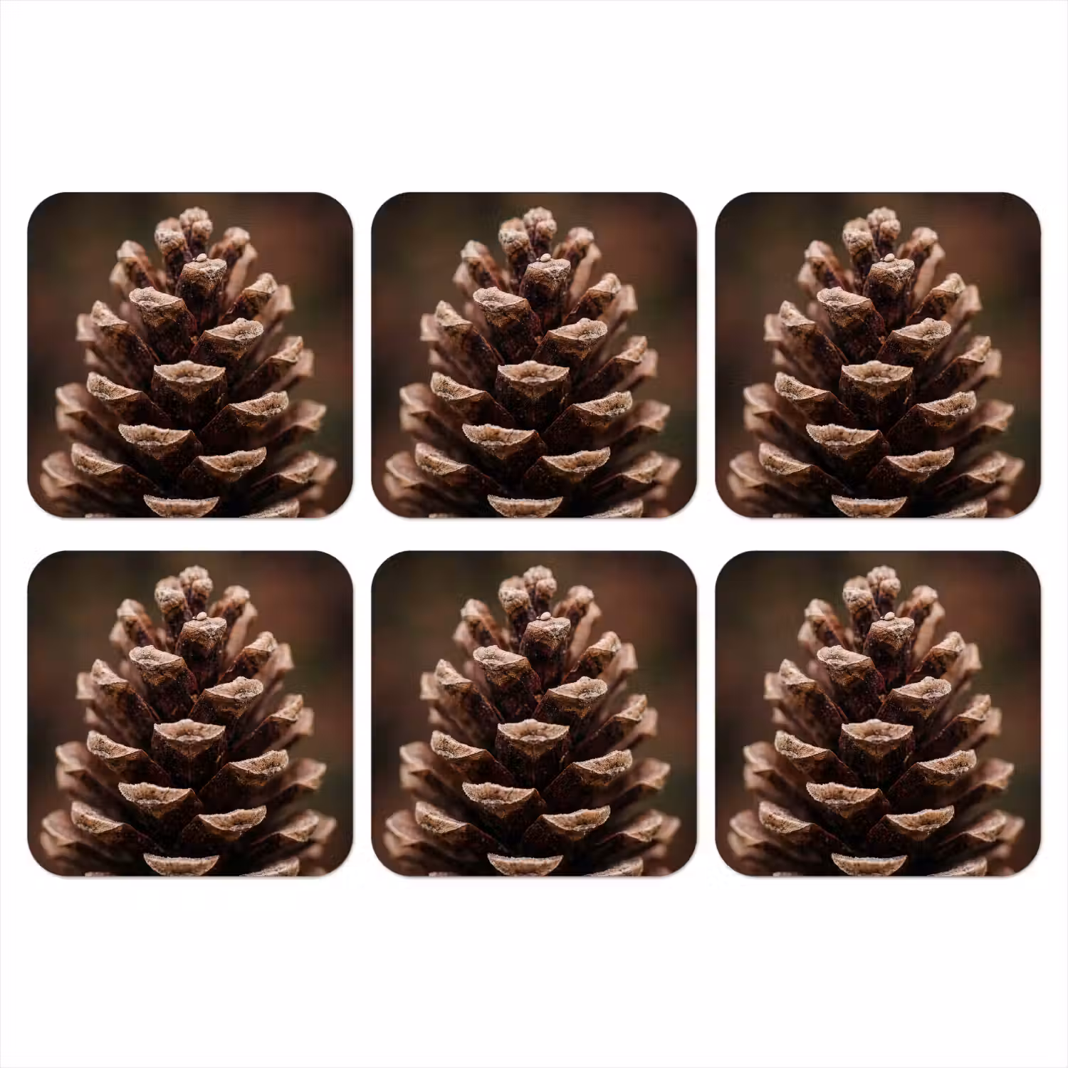 Dennenappel - Bos - Herfst - Bruin - Sfeervol onderzetter kurk middel -3d