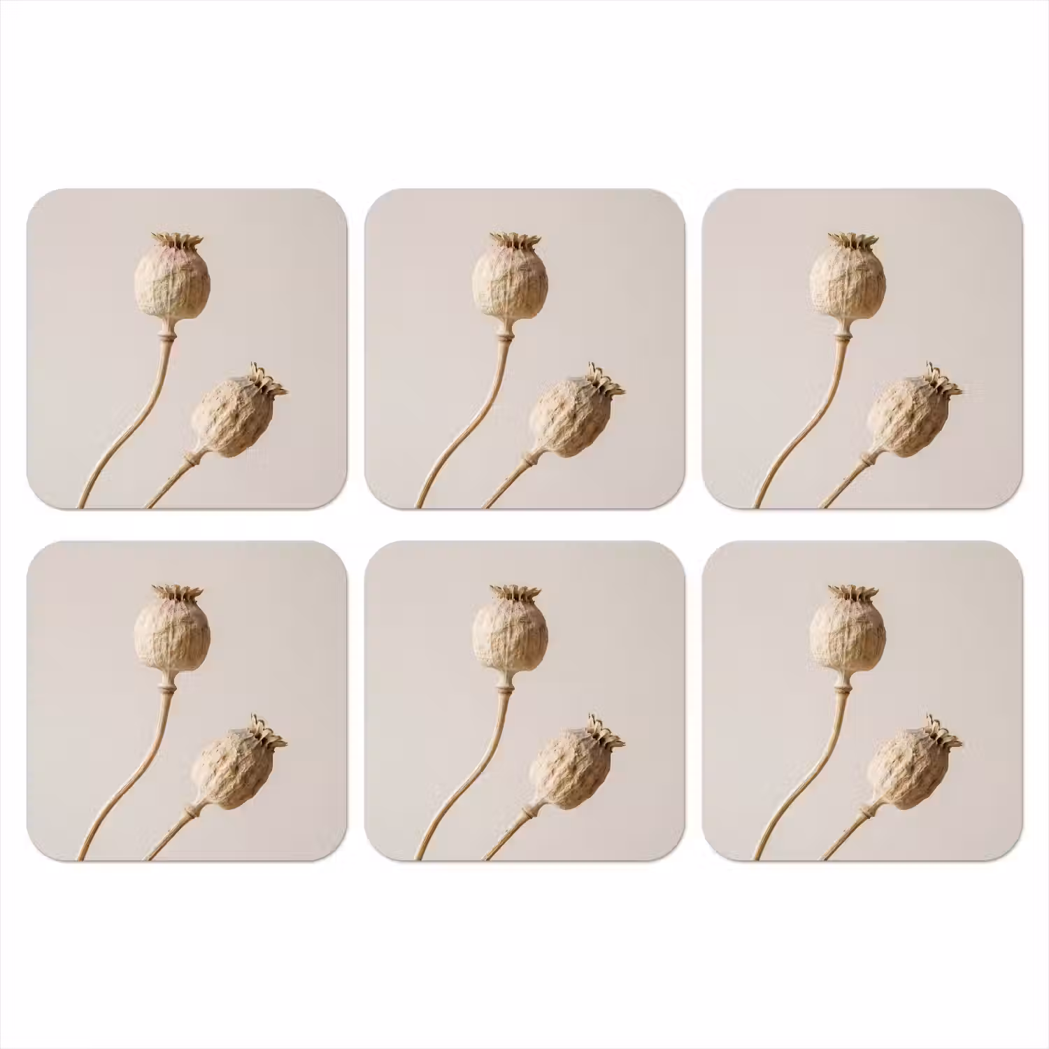 Papaverbollen - Droogbloemen - Minimalistisch - Beige - Rustig onderzetter kurk middel -3d