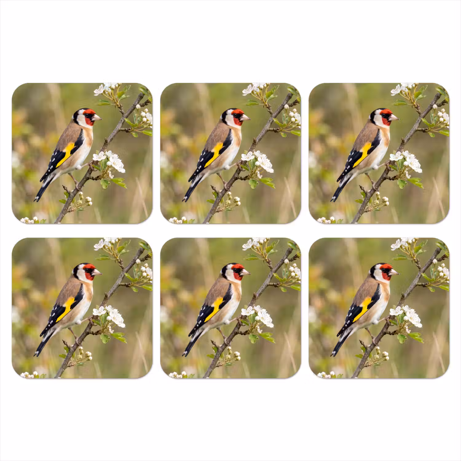 Putter - Bloesem - Lente - Natuur - Kleurrijk onderzetter kurk middel -3d