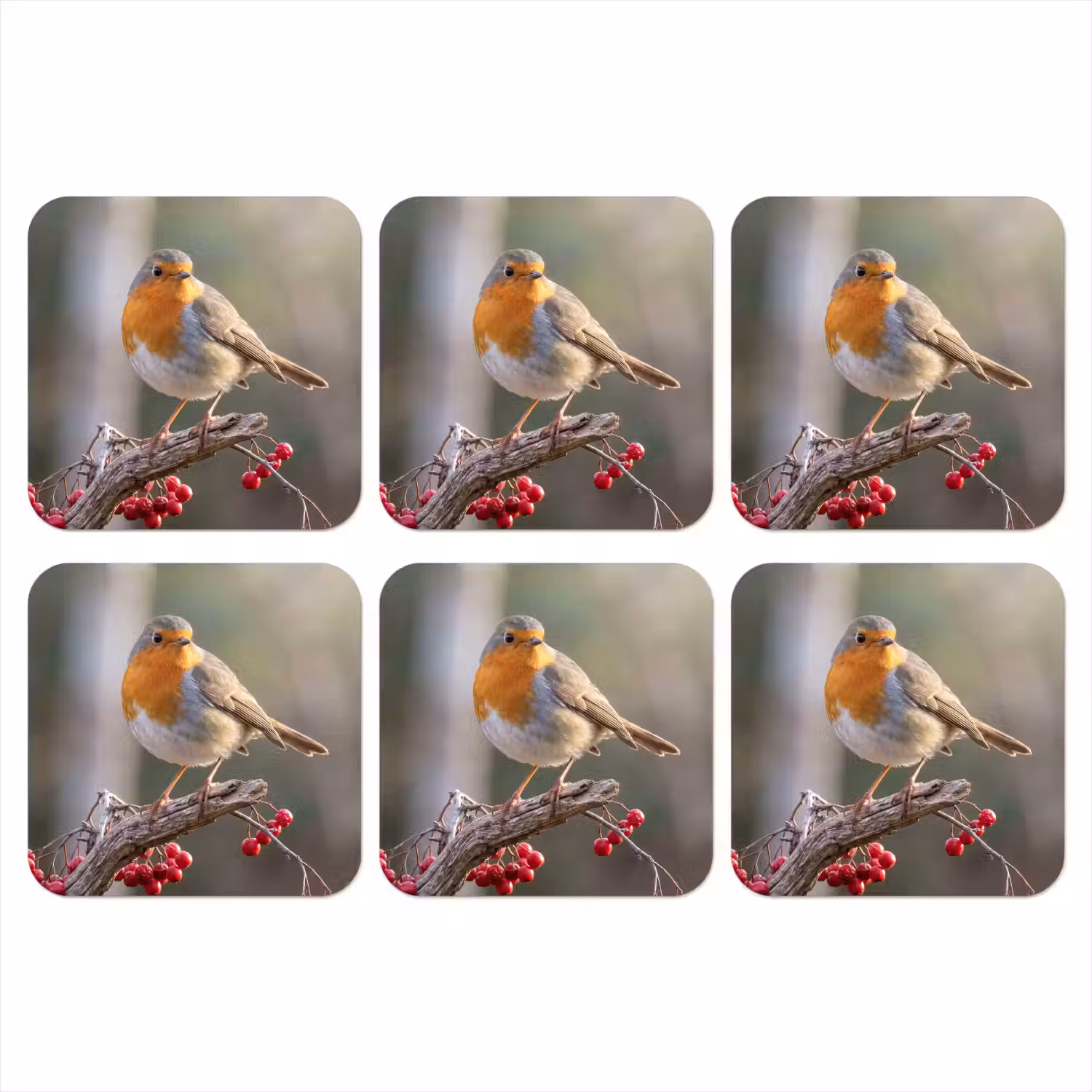 Roodborst - Tak - Bessen - Natuur onderzetter kurk middel -3d
