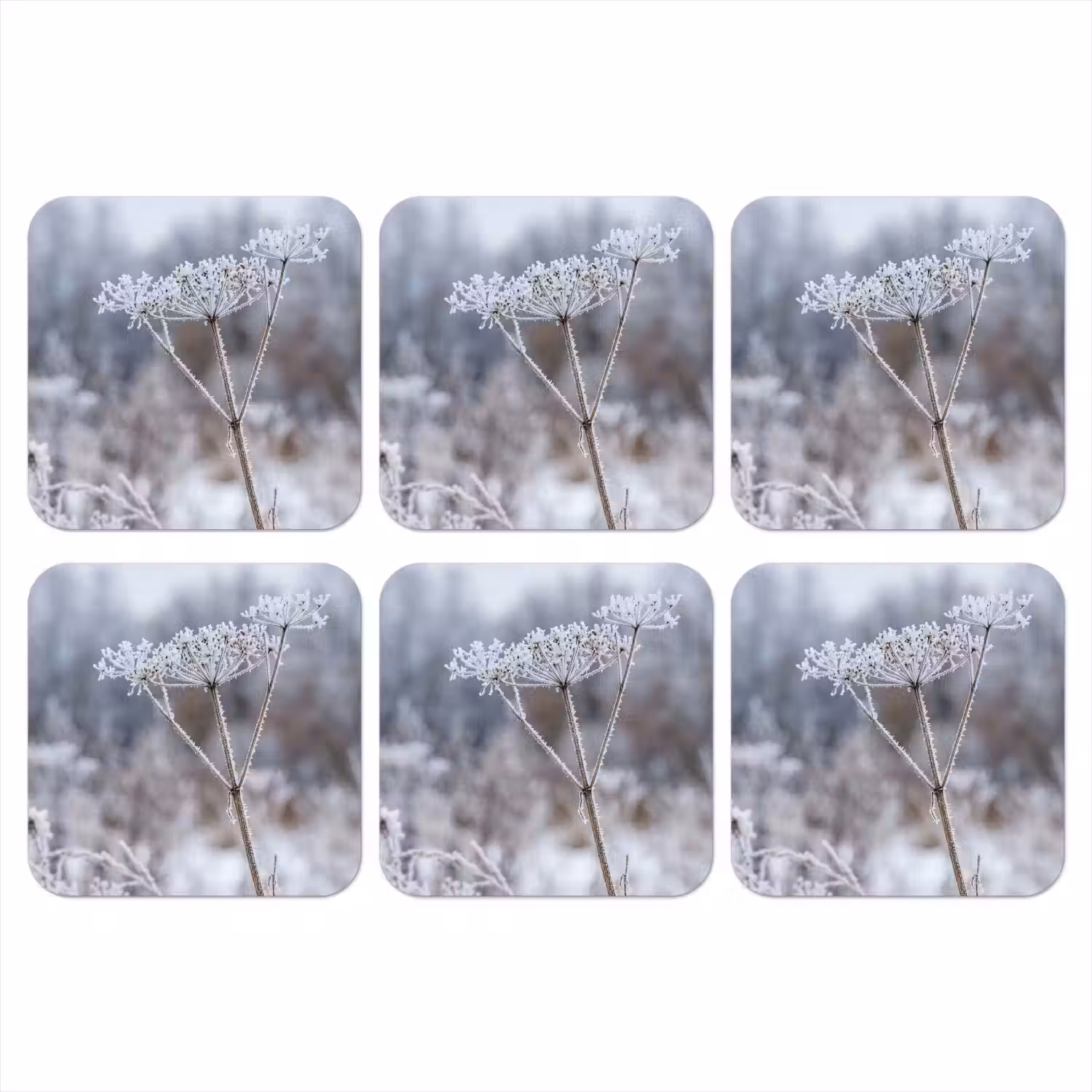 Schermbloem - Rijp - Kristallen - Winter - Delicaat onderzetter kurk middel -3d
