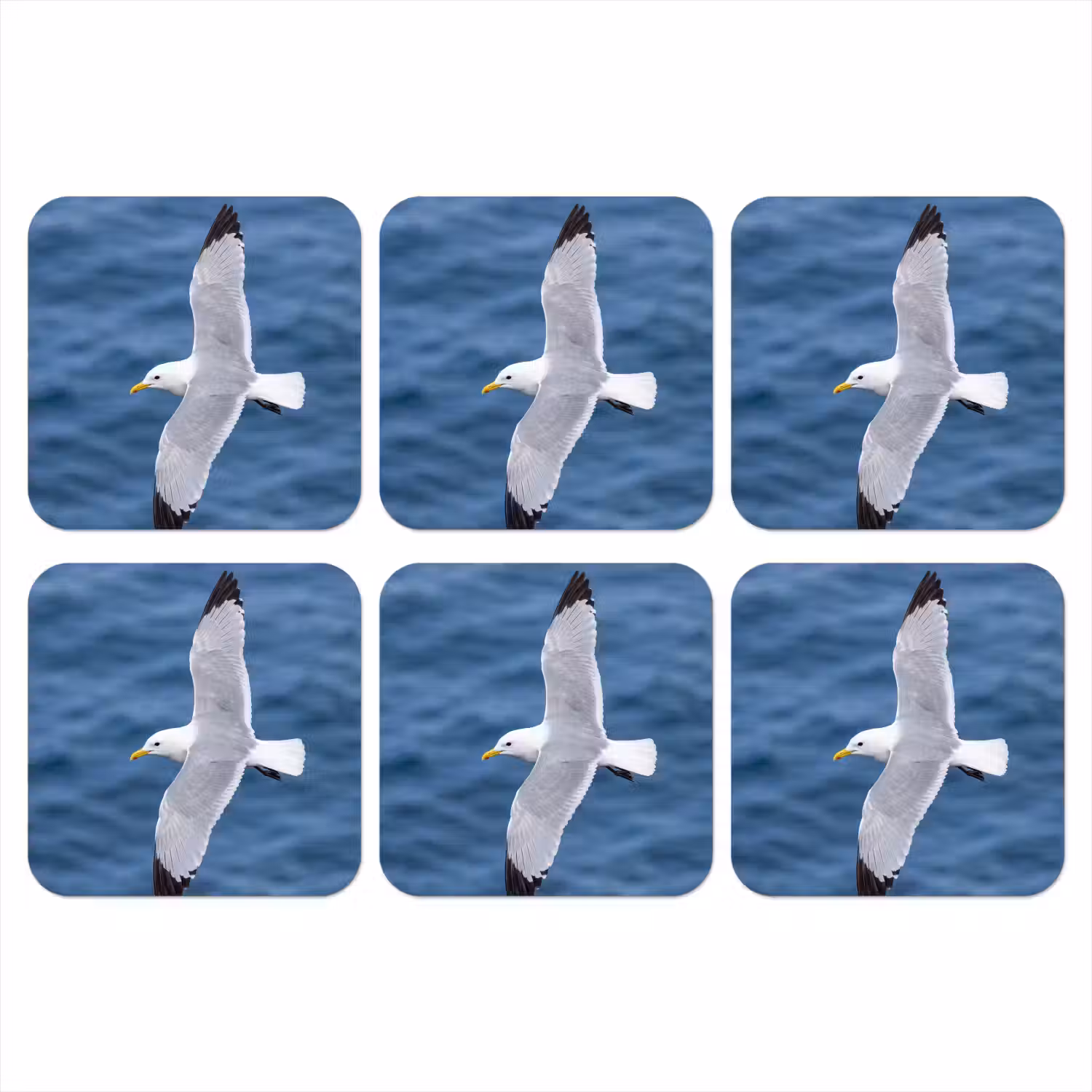 Zeemeeuw - Oceaan - Blauw onderzetter kurk middel -3d